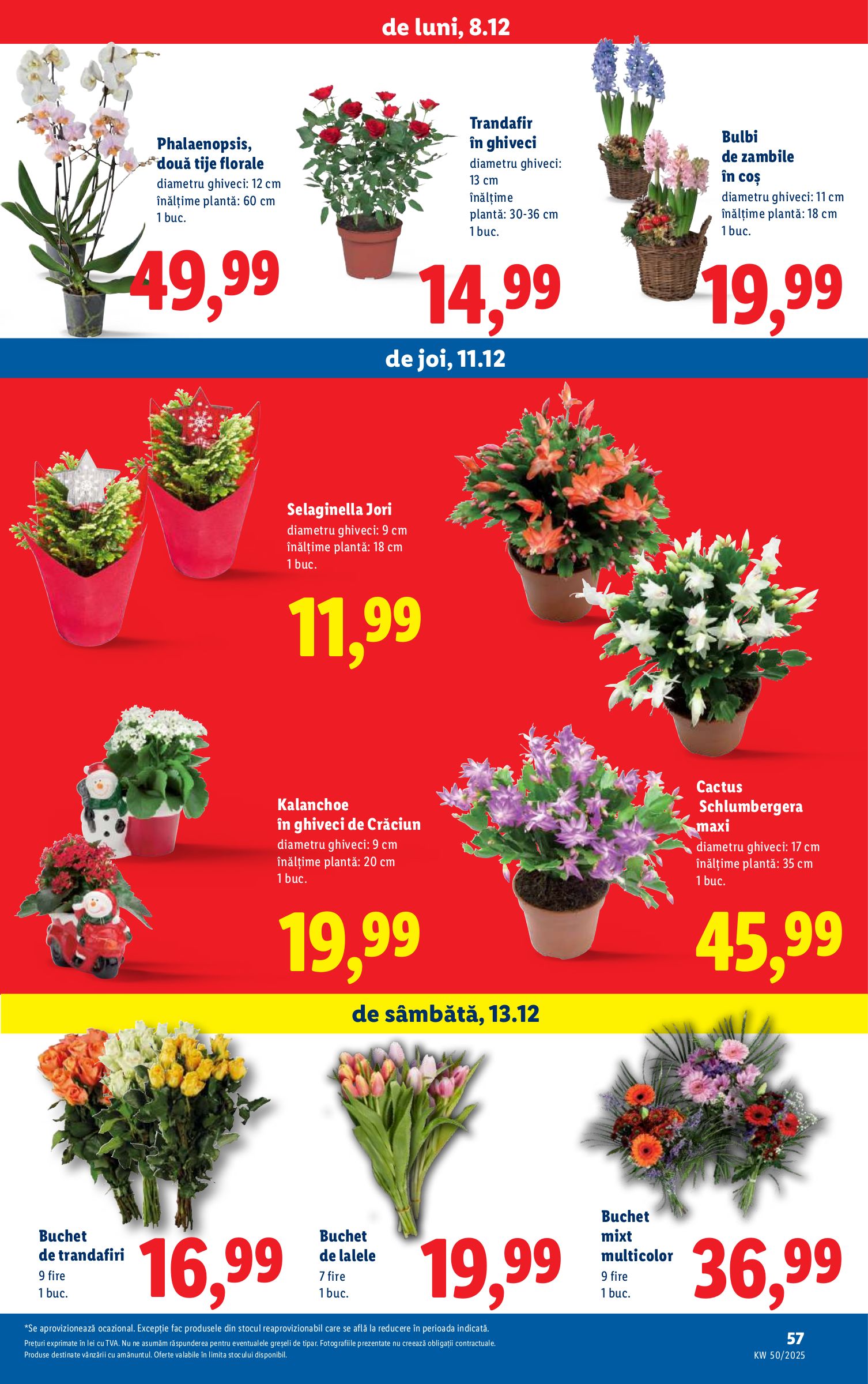 lidl - Catalog Lidl online – oferte valabile din 08.12. - page: 57