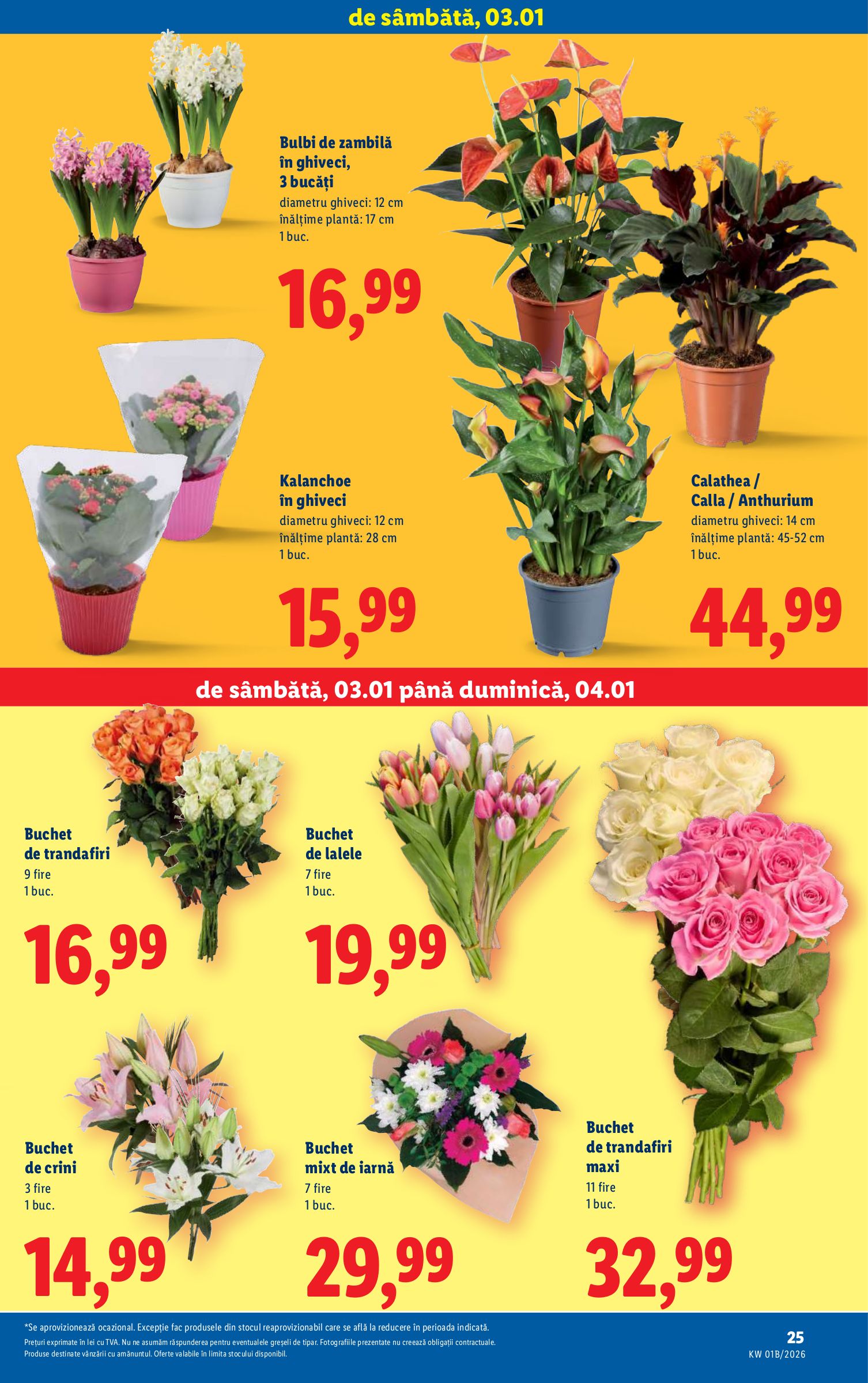 lidl - Catalog Lidl online – oferte valabile din 02.01. - page: 25