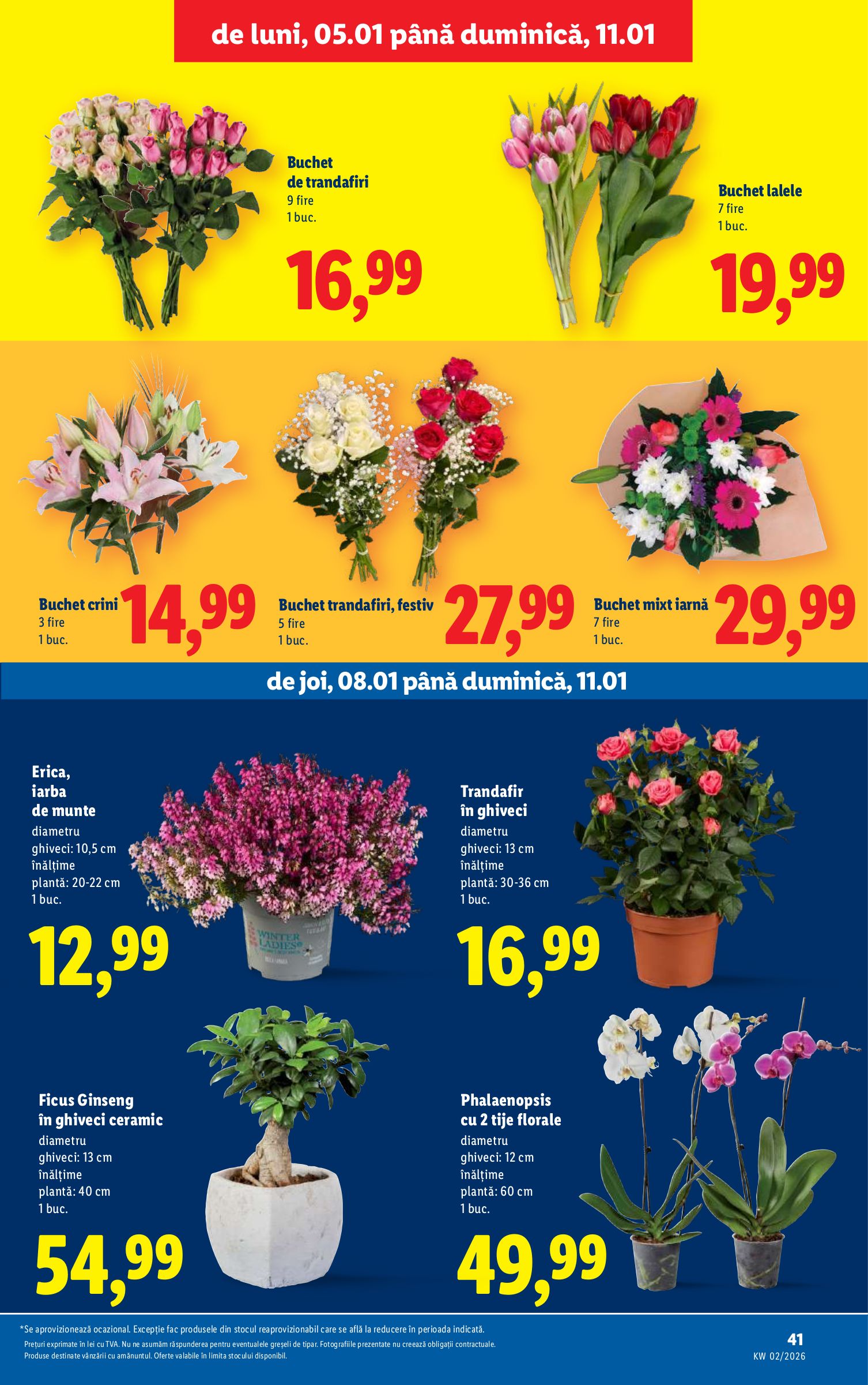 lidl - Catalog Lidl online – oferte valabile din 05.01. - page: 41