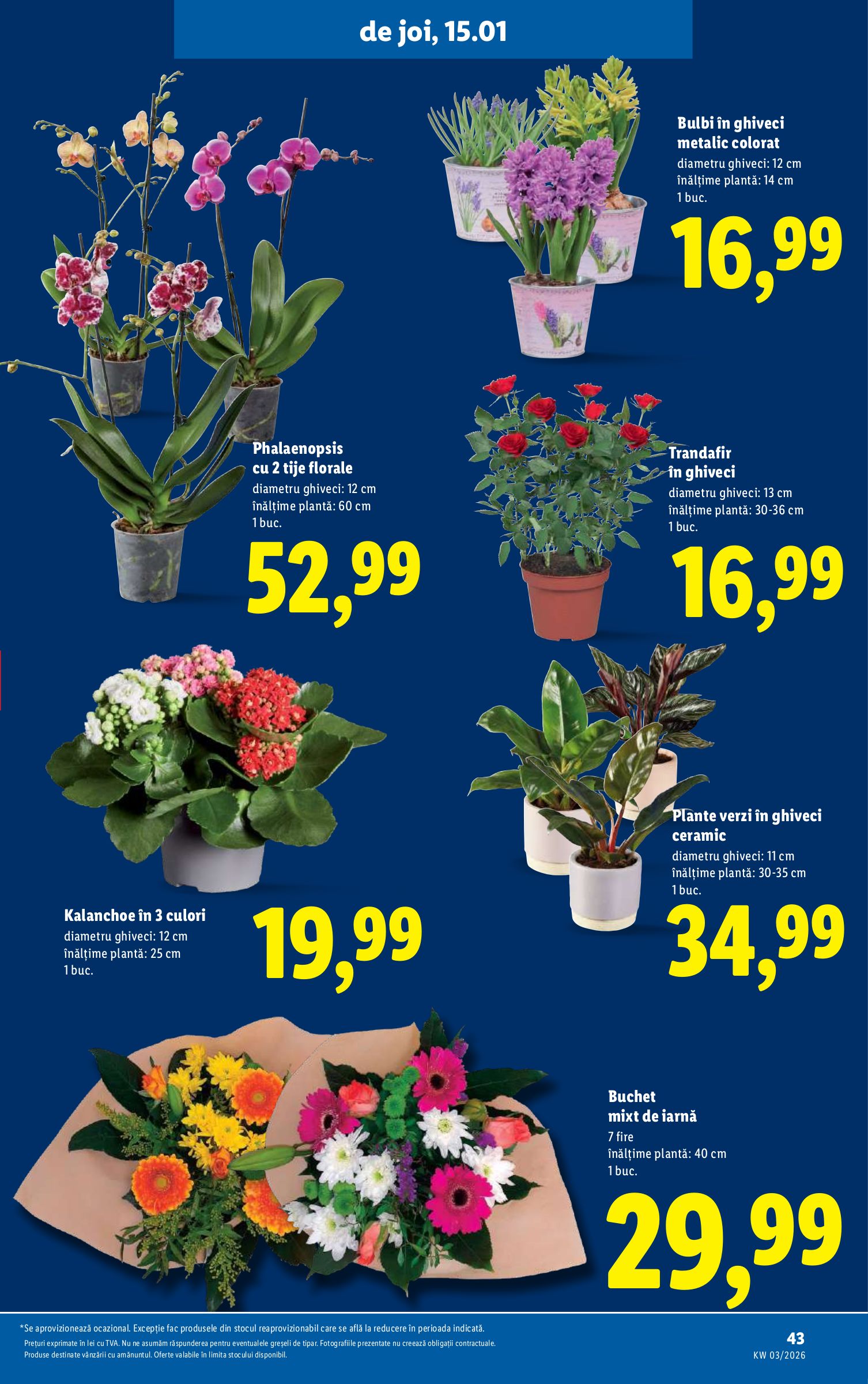 lidl - Catalog Lidl online – oferte valabile din 12.01. - page: 43
