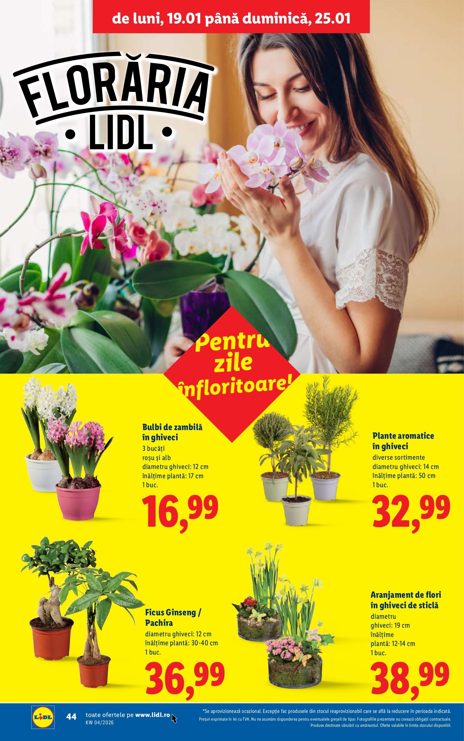 lidl - Catalog Lidl online – oferte valabile din 19.01. - page: 44