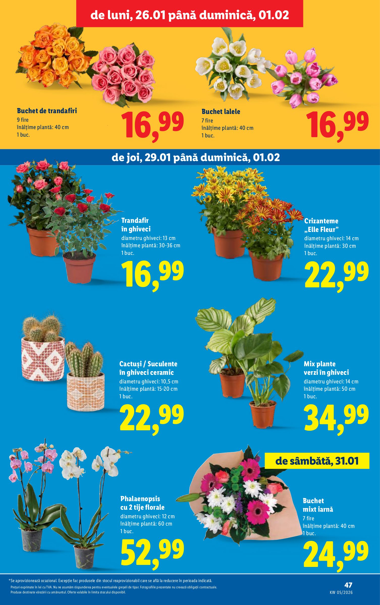 lidl - Catalog Lidl online – oferte valabile din 26.01. - page: 47