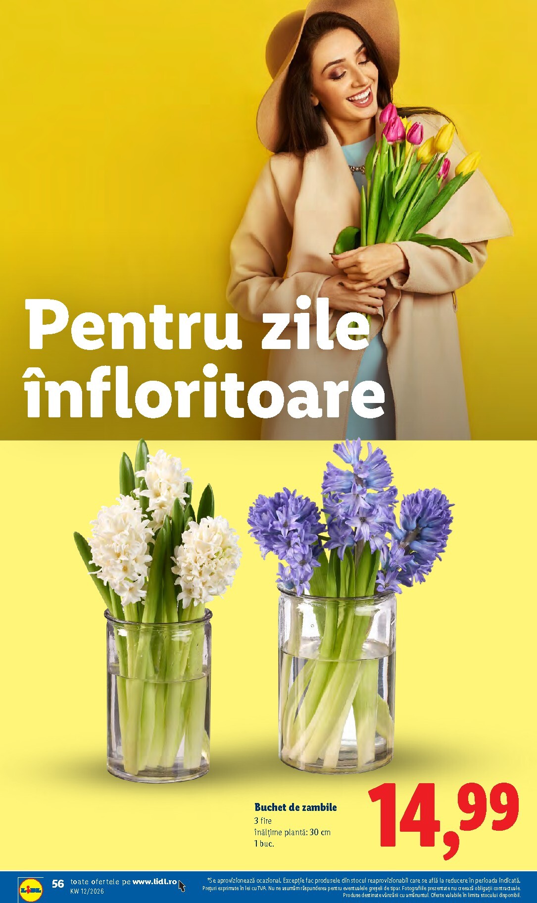 lidl - Catalog Lidl online – oferte valabile din 16.03.2026 - page: 56