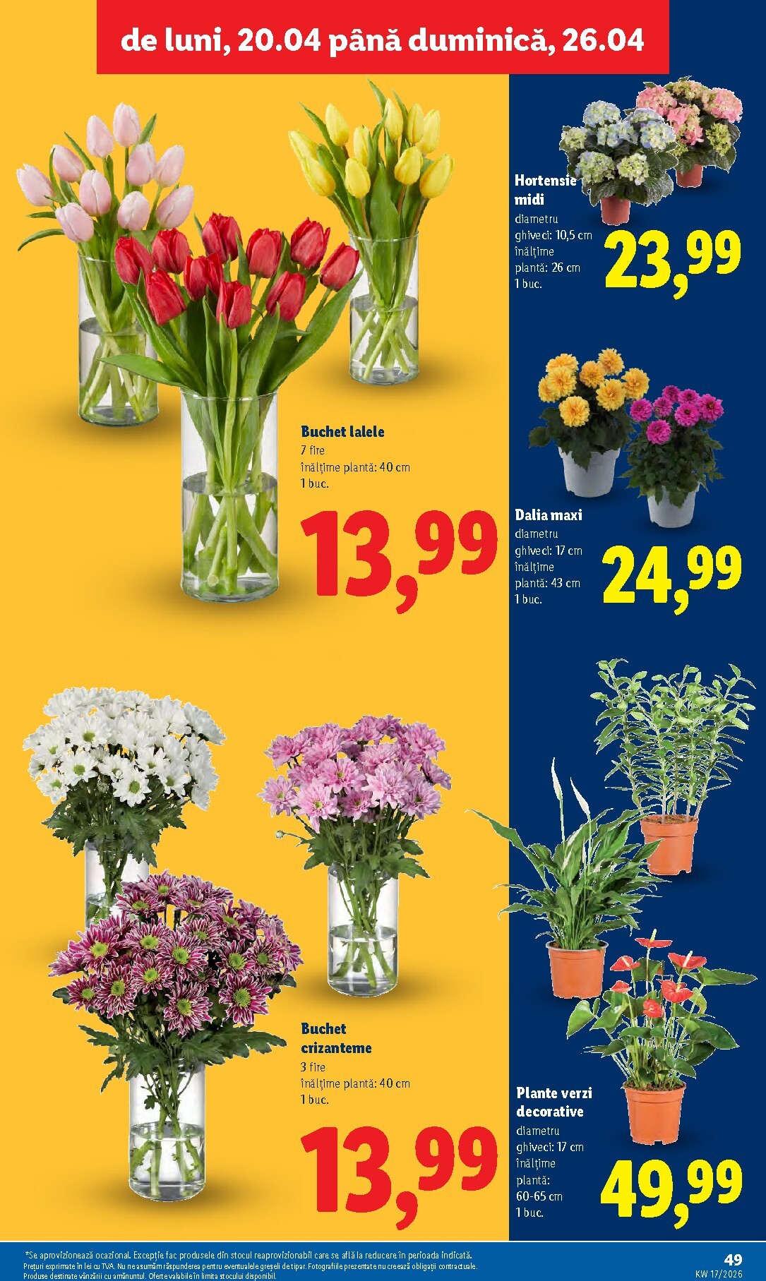 lidl - Lidl pliante pentru săptămâna viitoare de la luni 20.04.2026 până la duminică 26.04.2026 - page: 49