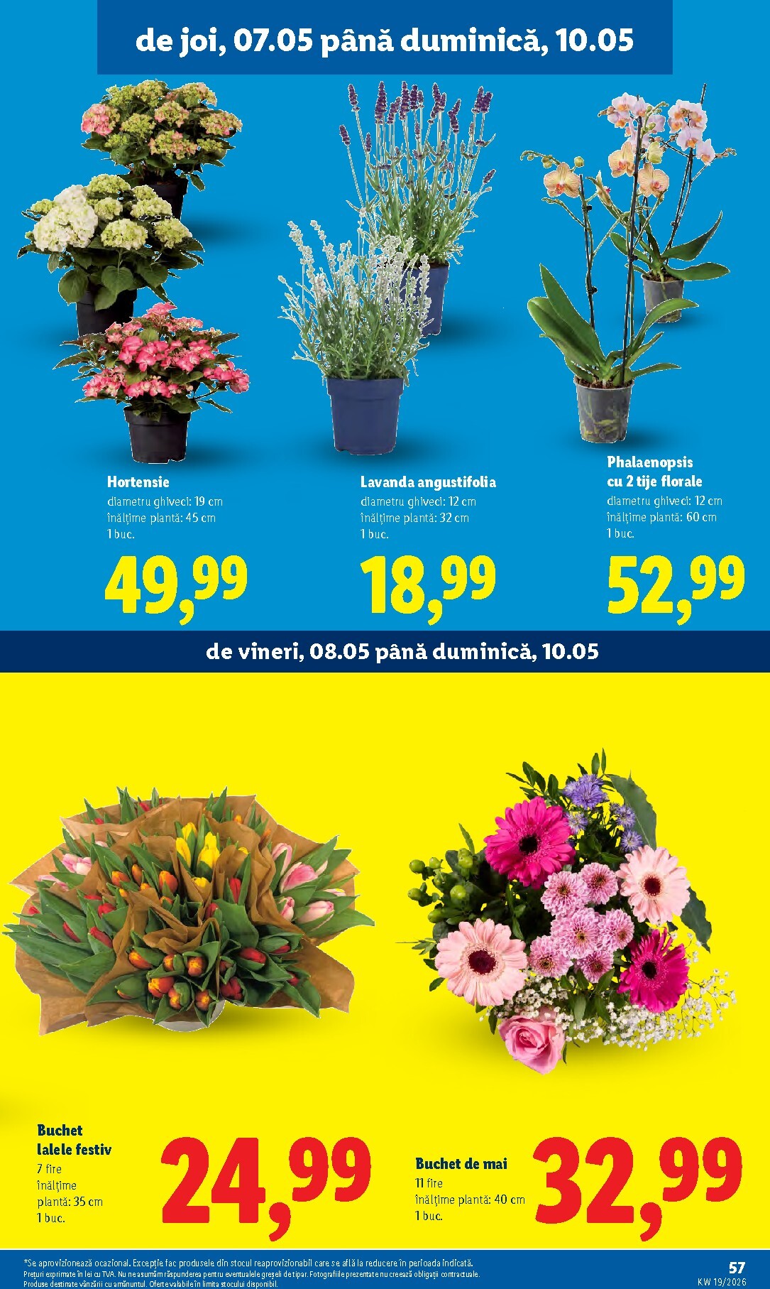 lidl - Brosura Lidl valabilă de la luni 04.05.2026 până la duminică 10.05.2026 - page: 57