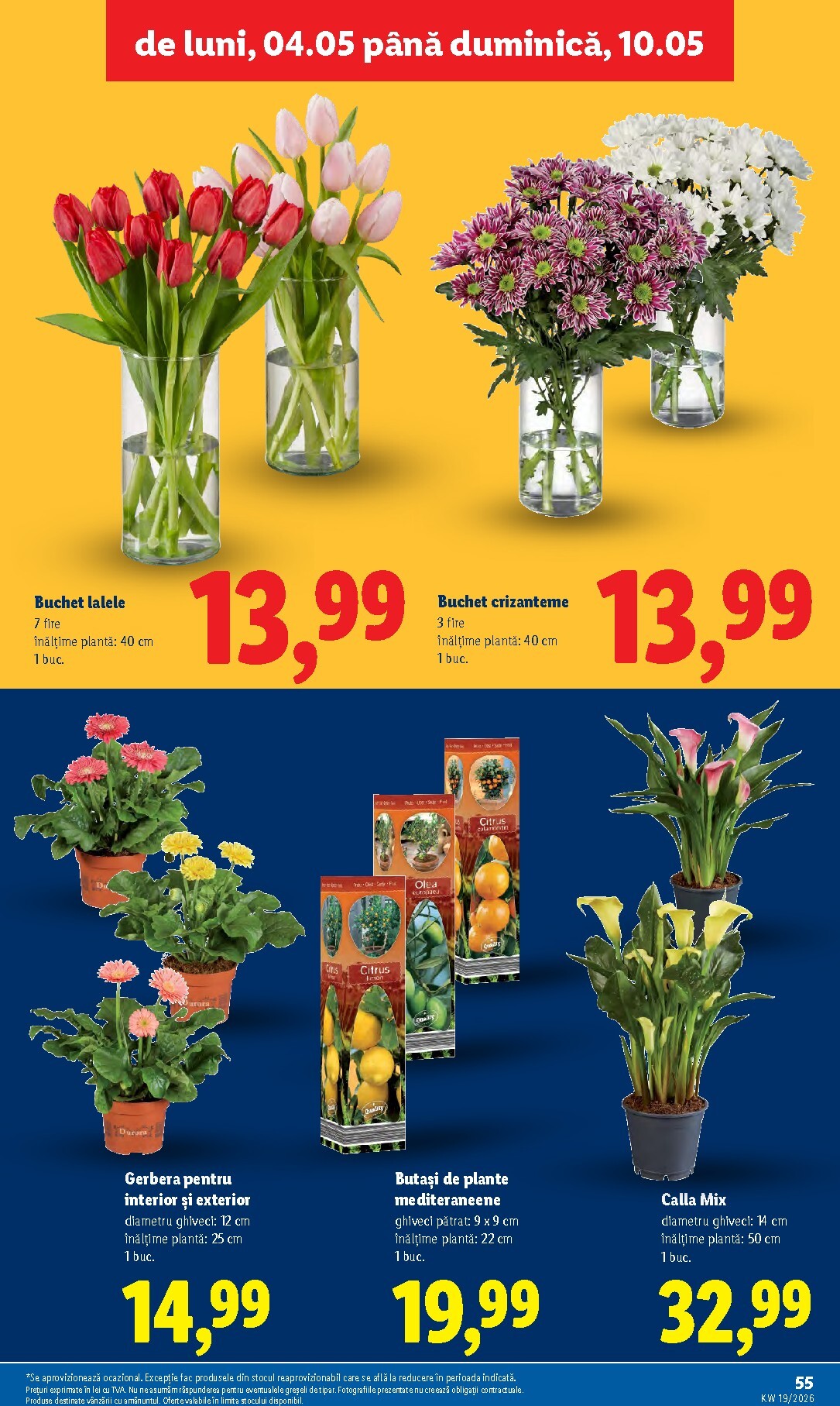lidl - Brosura Lidl valabilă de la luni 04.05.2026 până la duminică 10.05.2026 - page: 55