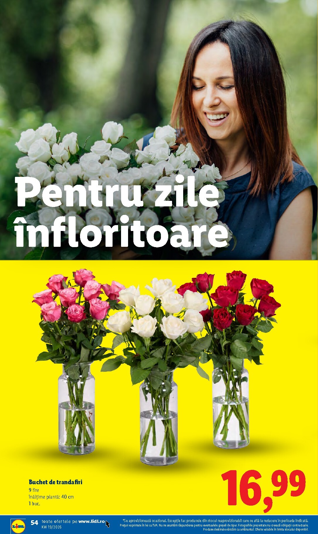 lidl - Brosura Lidl valabilă de la luni 04.05.2026 până la duminică 10.05.2026 - page: 54