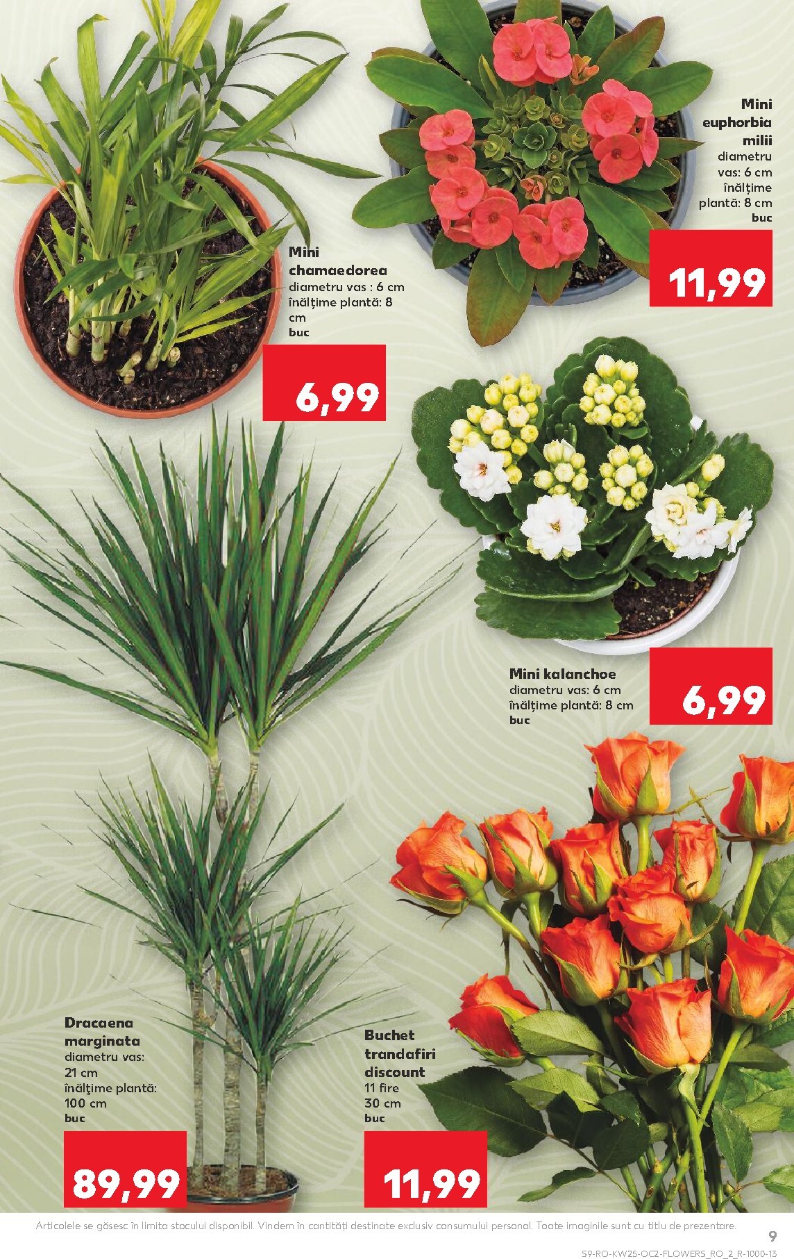 kaufland - Brosura Kaufland valabilă de la miercuri 17.06.2026 până la marți 23.06.2026 - page: 9