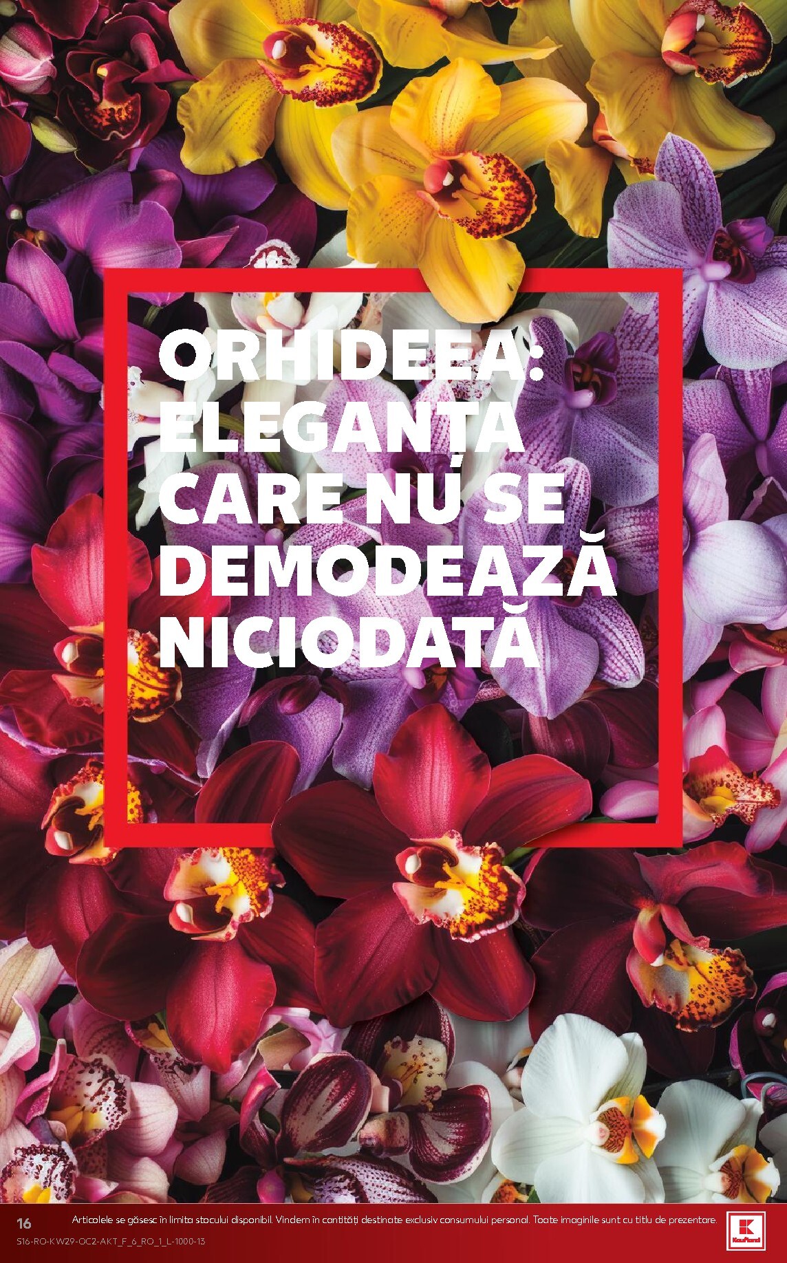 kaufland - Pliantele viitoare Kaufland valabil de la miercuri 15.07.2026 până la marți 21.07.2026 - page: 16