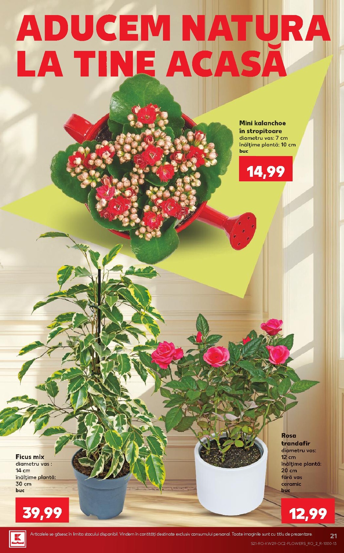 kaufland - Pliantele viitoare Kaufland valabil de la miercuri 15.07.2026 până la marți 21.07.2026 - page: 21
