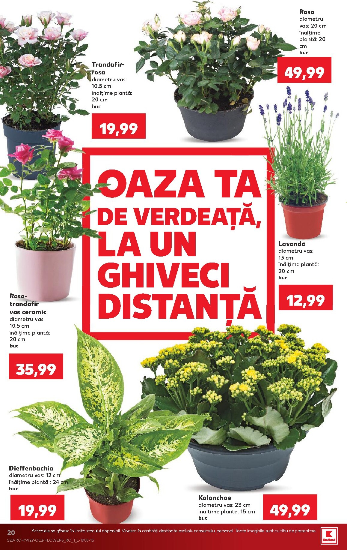 kaufland - Pliantele viitoare Kaufland valabil de la miercuri 15.07.2026 până la marți 21.07.2026 - page: 20