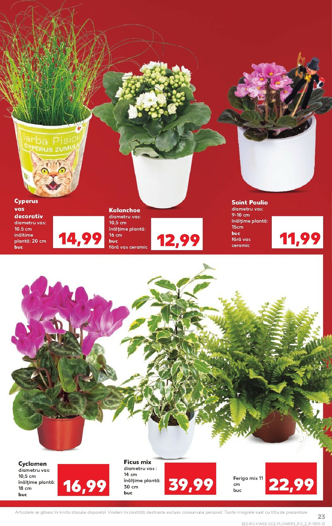 kaufland - Catalog Kaufland online – oferte valabile din 07.01. - page: 23