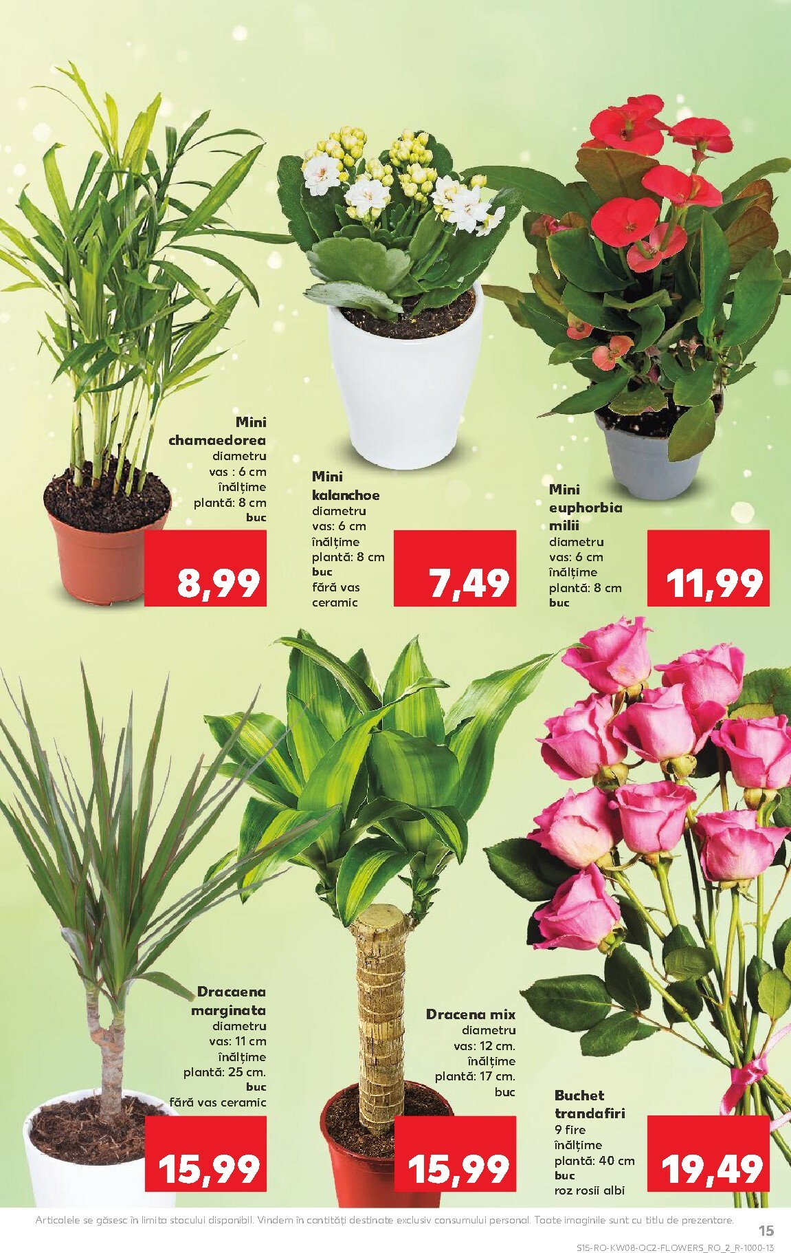 kaufland - Catalog Kaufland online – oferte valabile din 18.02.2026 - page: 15