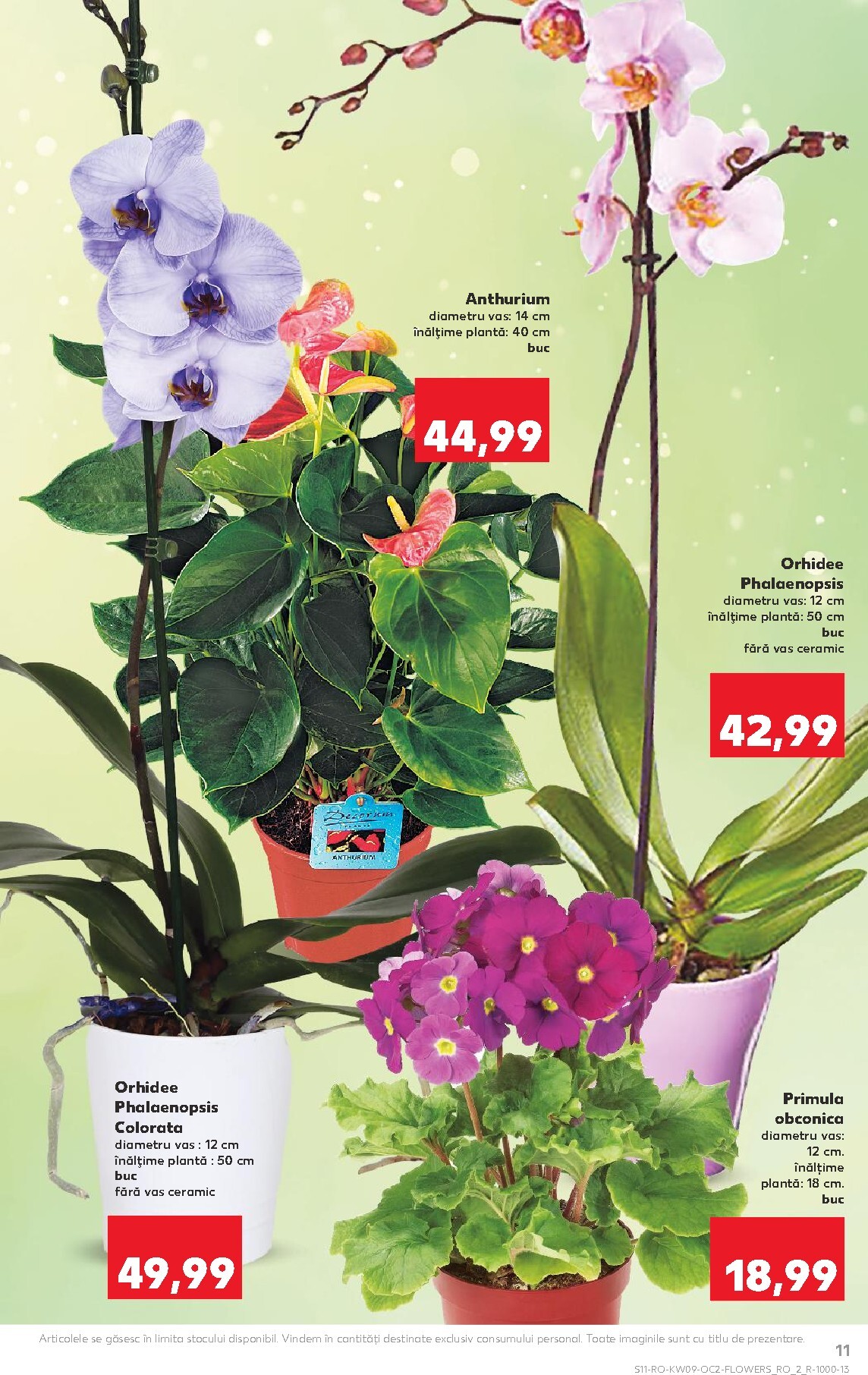 kaufland - Catalog Kaufland online – oferte valabile din 25.02.2026 - page: 11
