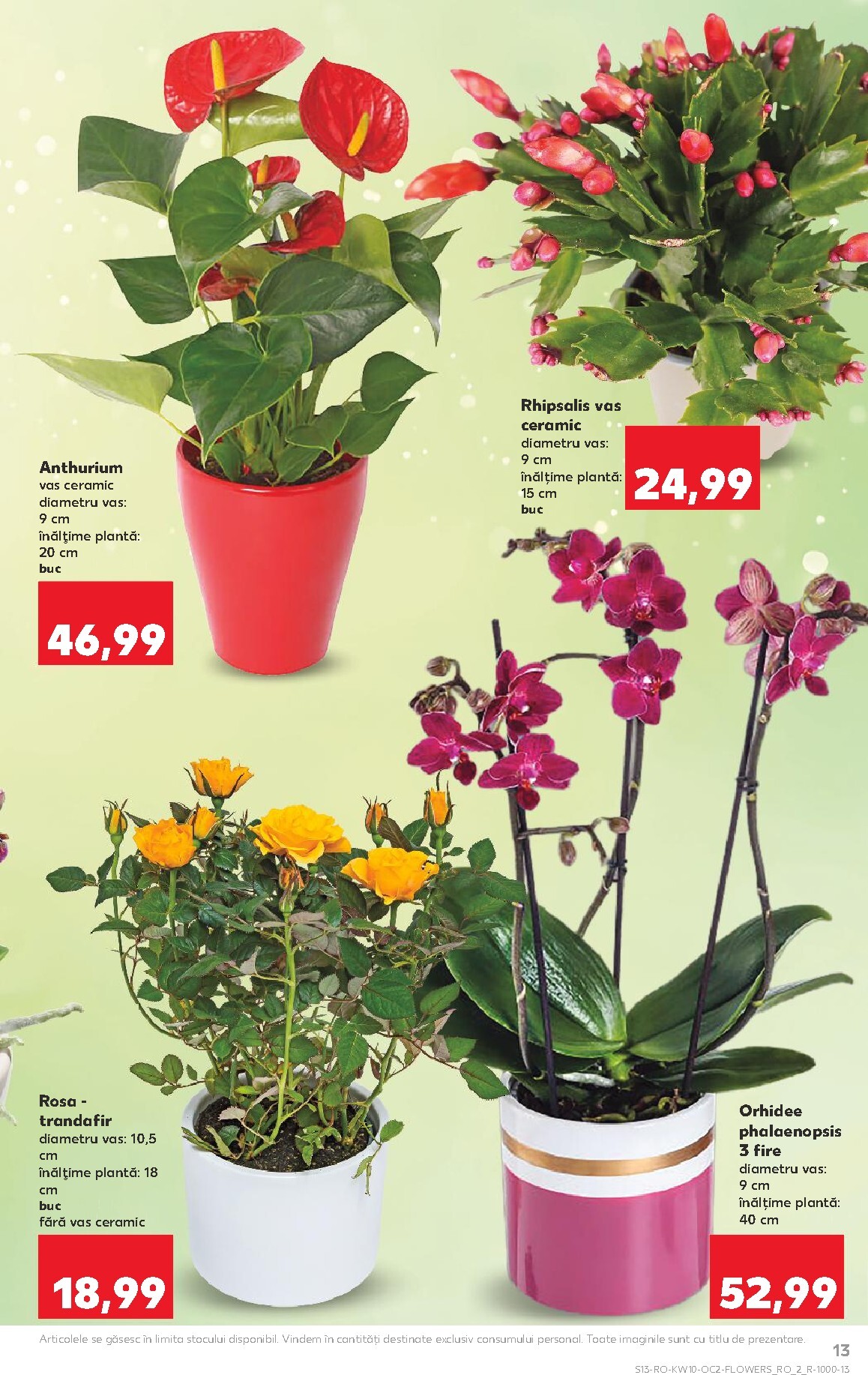 kaufland - Catalog Kaufland online – oferte valabile din 04.03.2026 - page: 13