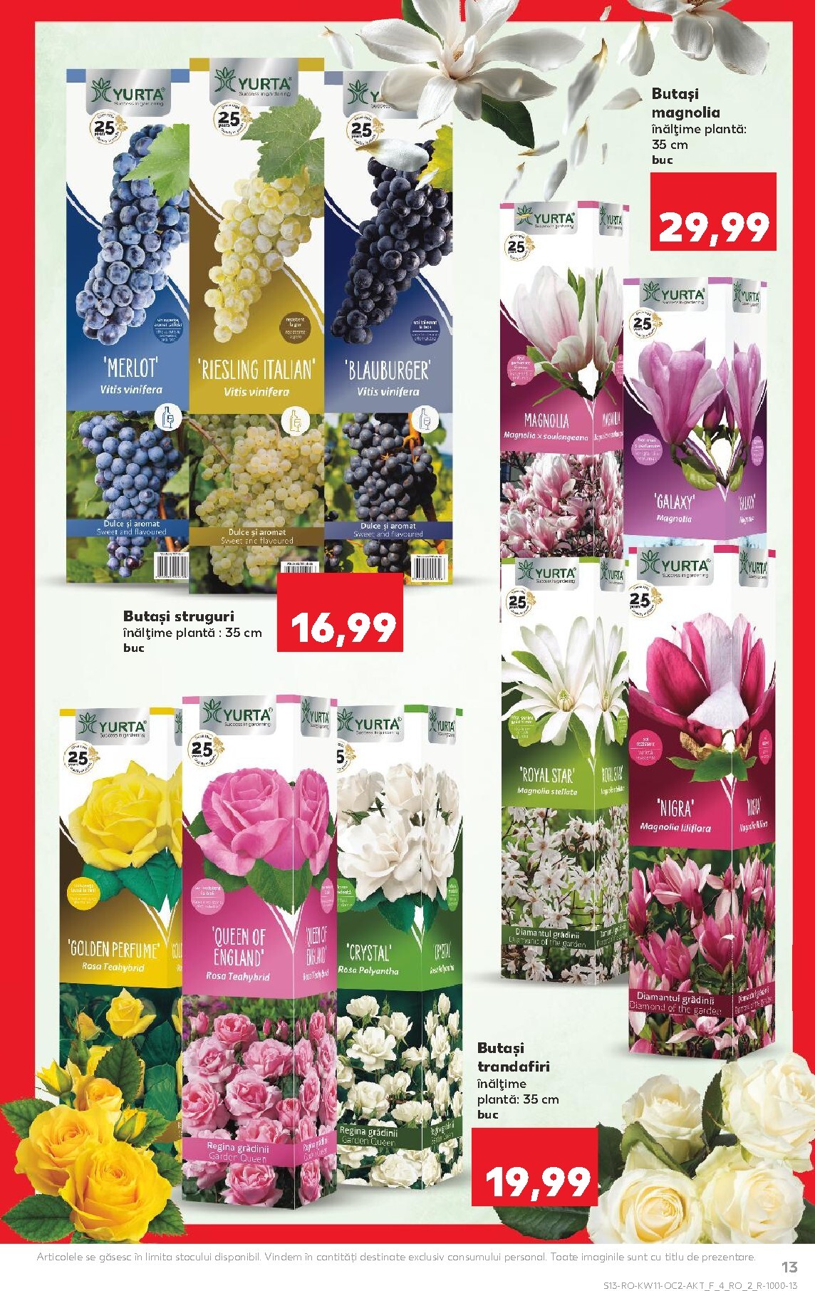 kaufland - Catalog Kaufland online – oferte valabile din 11.03.2026 - page: 13