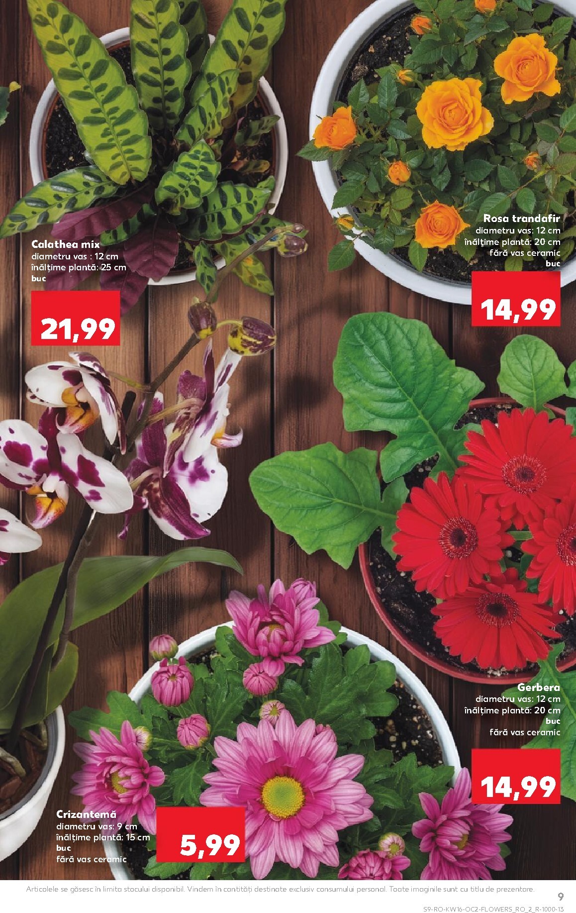 kaufland - Kaufland pliante pentru săptămâna viitoare de la miercuri 15.04.2026 până la marți 21.04.2026 - page: 9