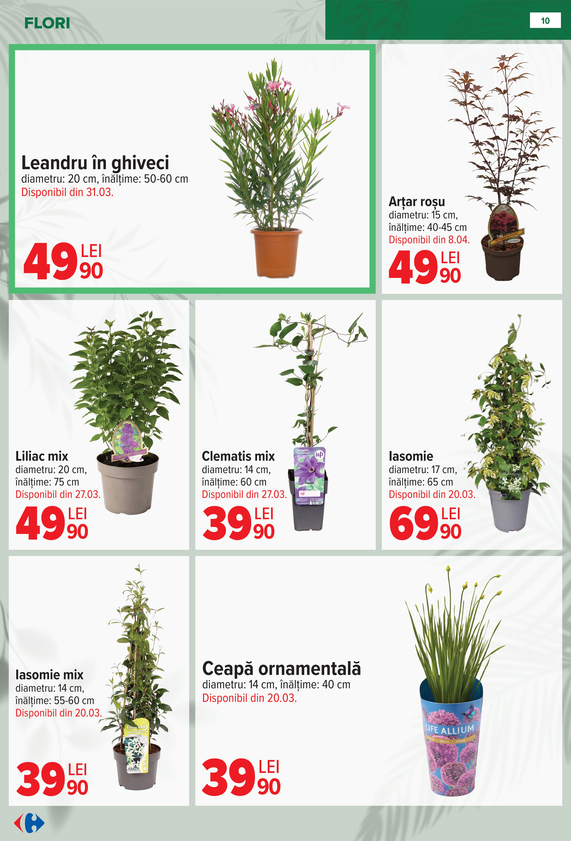 carrefour - Catalog Carrefour - Material saditor online – oferte valabile din 11.02.2026 - page: 10