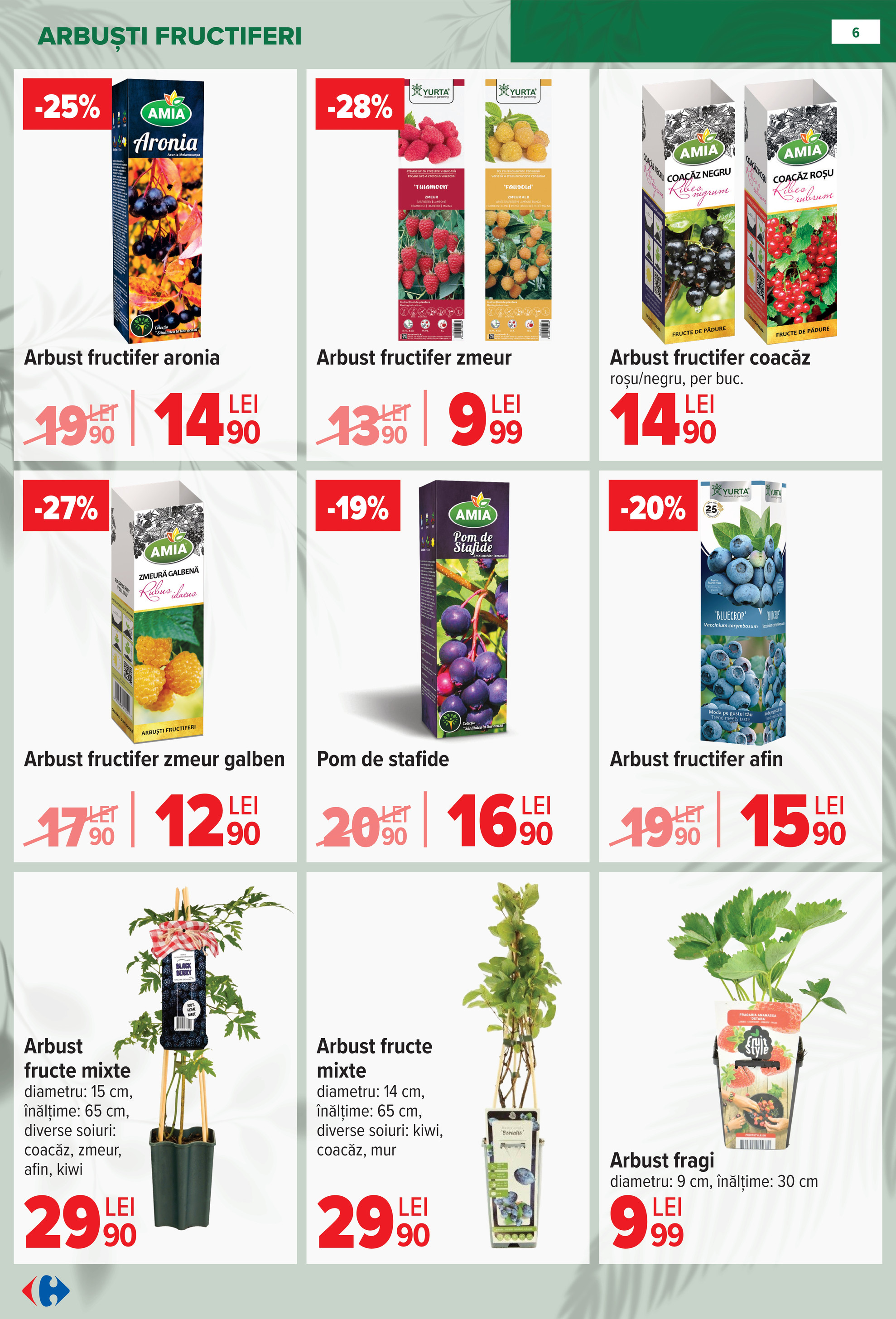 carrefour - Catalog Carrefour - Material saditor online – oferte valabile din 11.02.2026 - page: 6