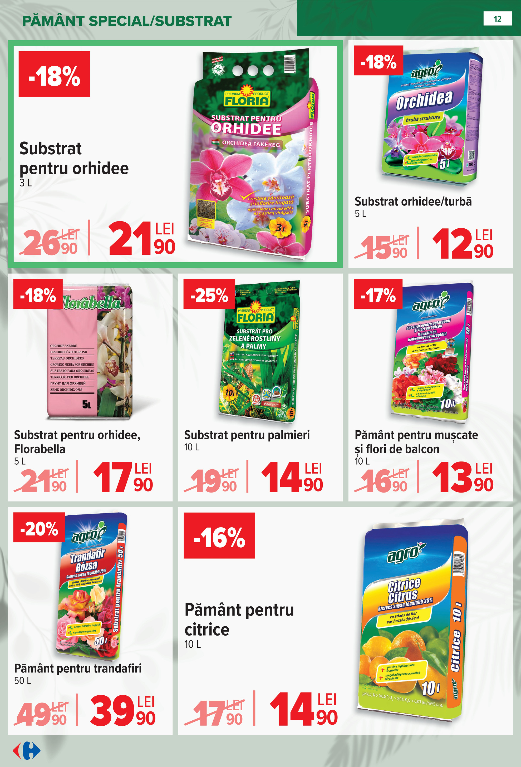 carrefour - Catalog Carrefour - Material saditor online – oferte valabile din 11.02.2026 - page: 12