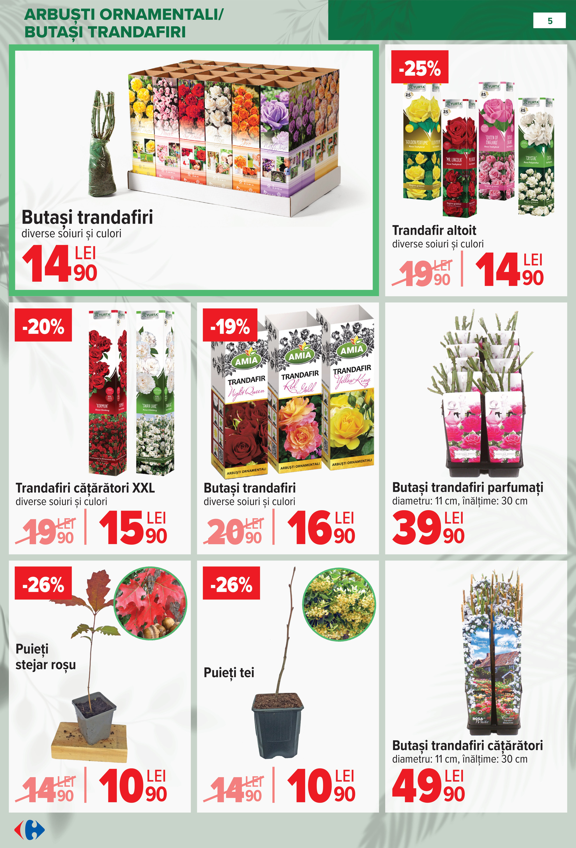 carrefour - Catalog Carrefour - Material saditor online – oferte valabile din 11.02.2026 - page: 5