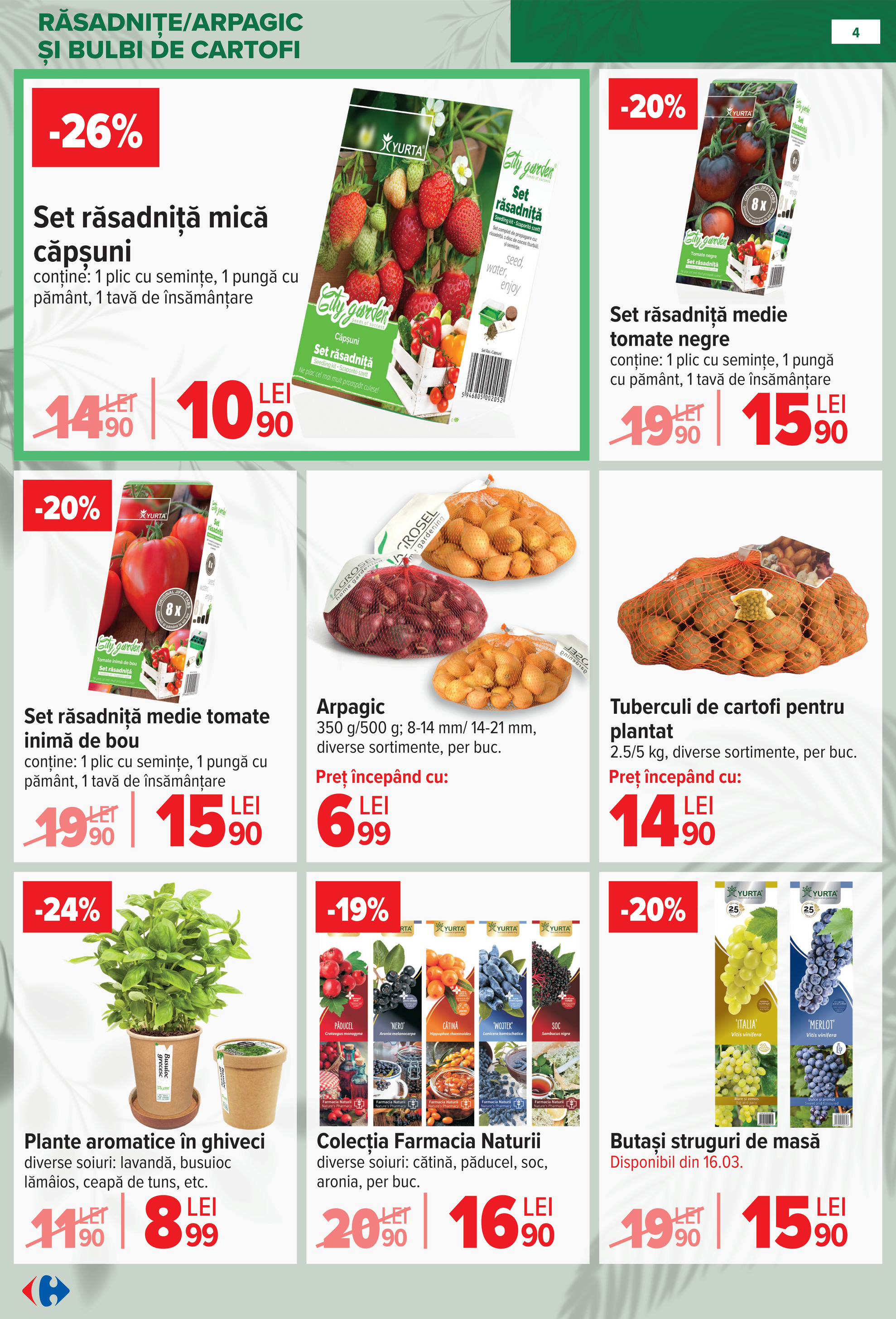 carrefour - Catalog Carrefour - Material saditor online – oferte valabile din 11.02.2026 - page: 4