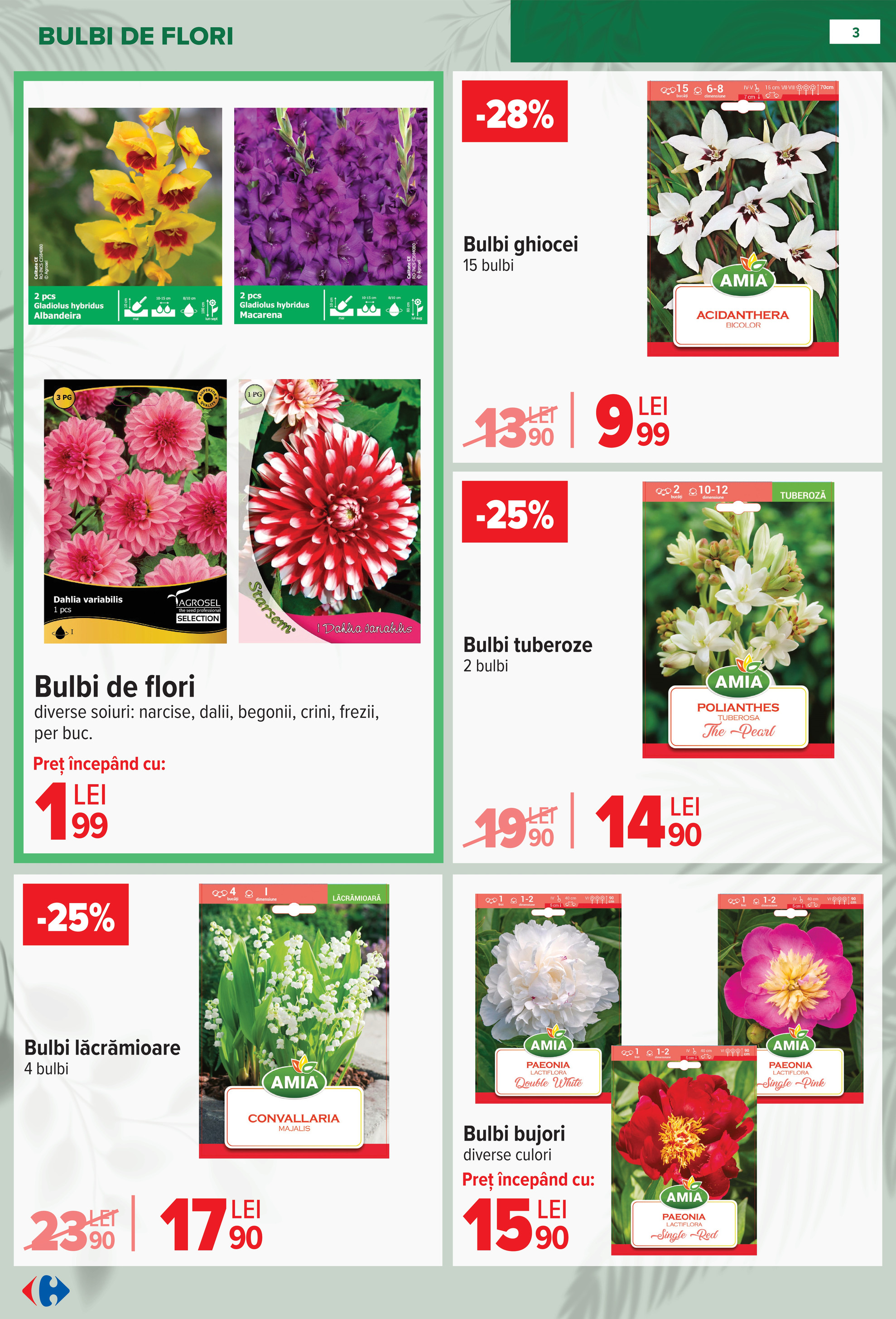carrefour - Catalog Carrefour - Material saditor online – oferte valabile din 11.02.2026 - page: 3