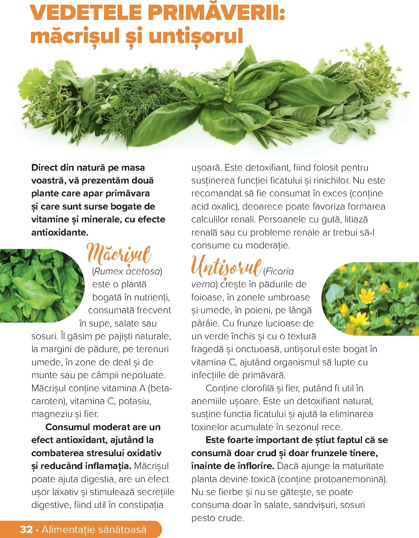 dr-max - Catalog Dr. Max - Revista Sanatate online – oferte valabile din 01.03.2026 - page: 32