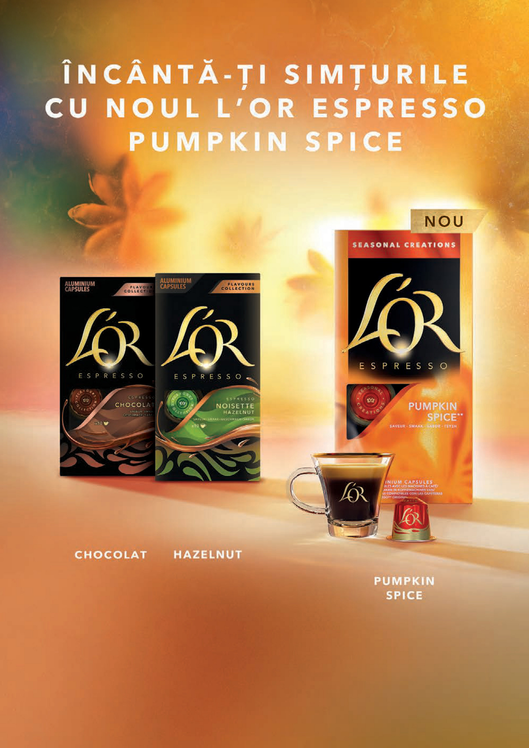 mega-image - Catalog Mega Image - Magazin online – oferte valabile din 01.11. - page: 10