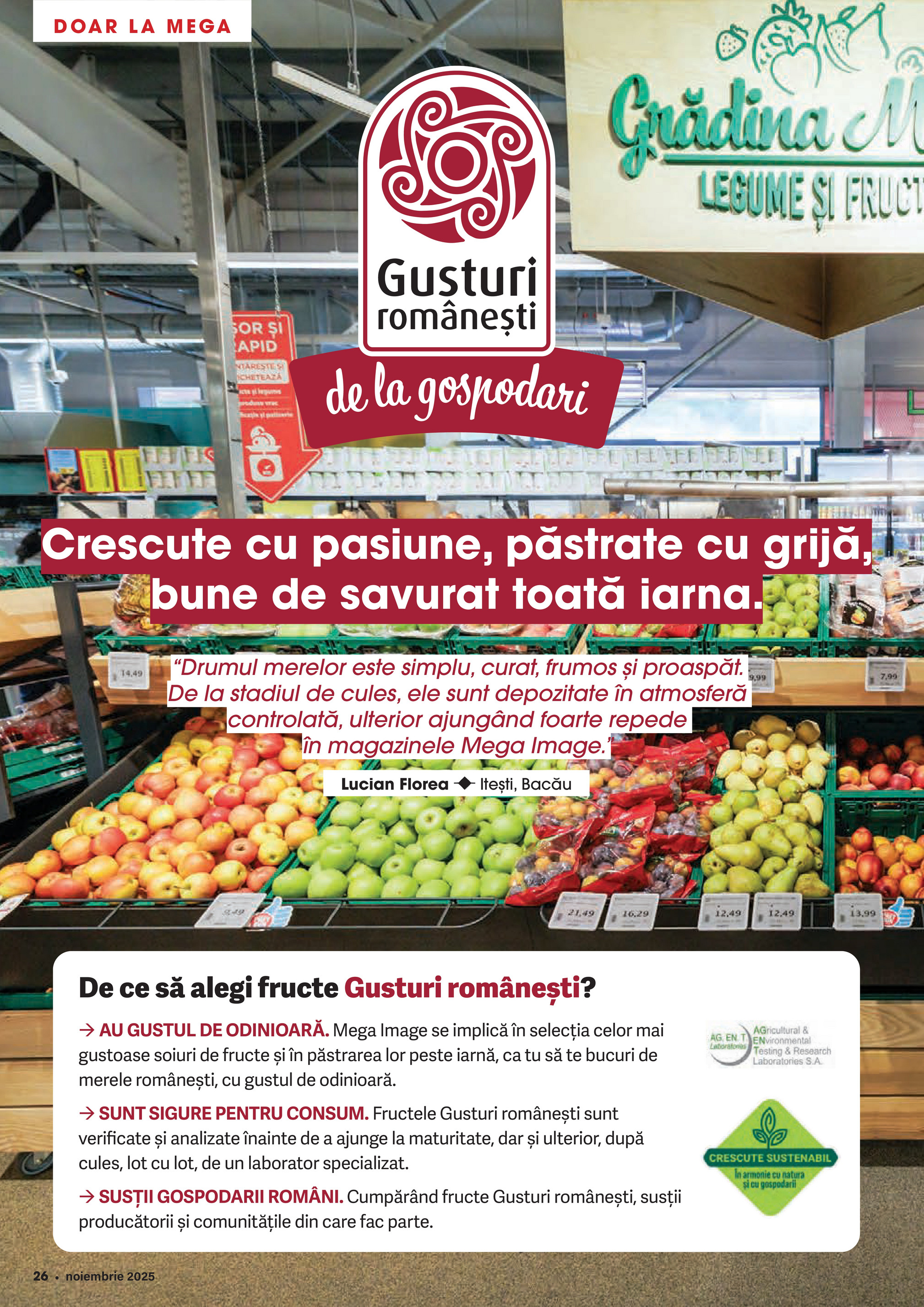 mega-image - Catalog Mega Image - Magazin online – oferte valabile din 01.11. - page: 26