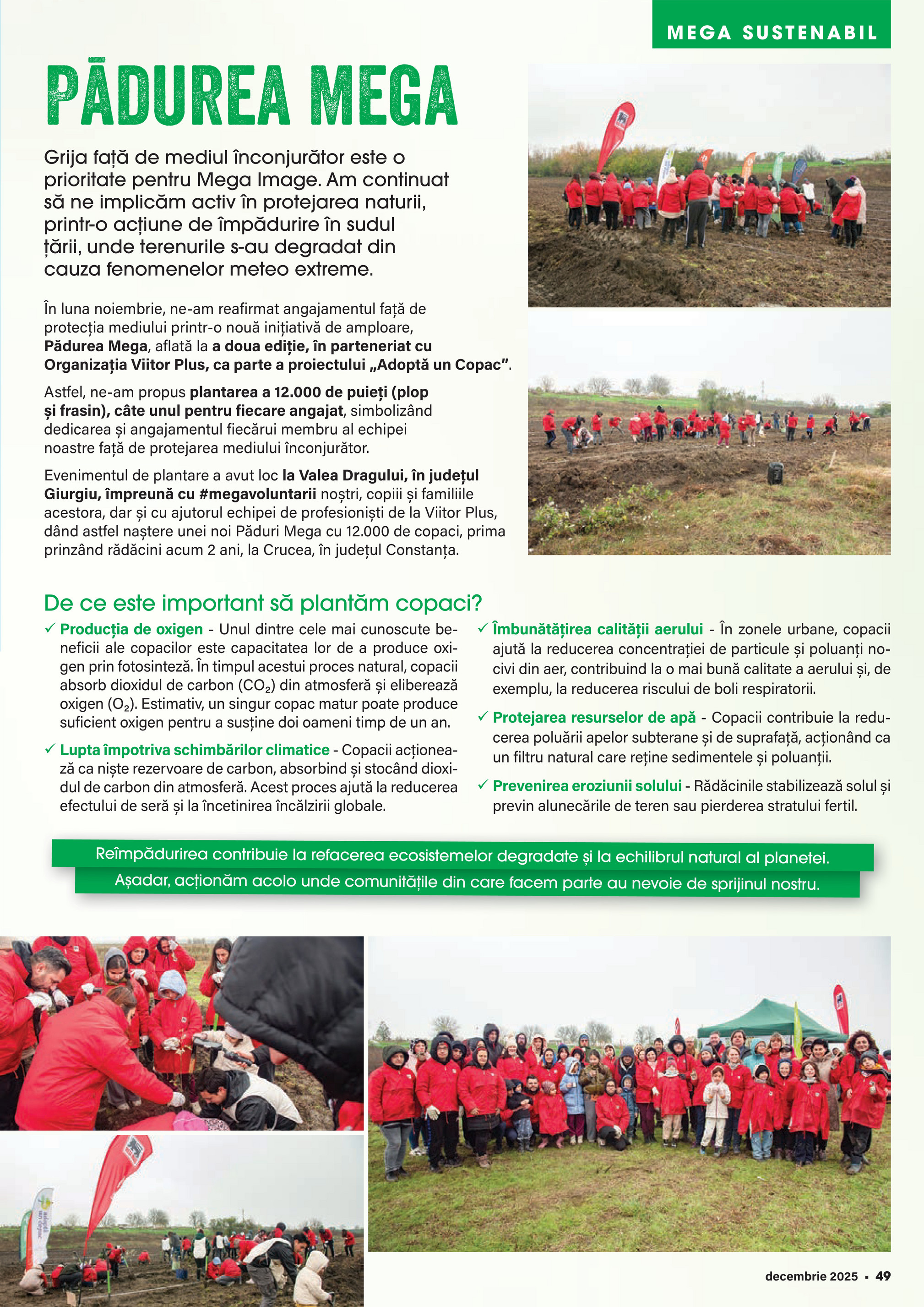 mega-image - Catalog Mega Image - Magazin online – oferte valabile din 01.12. - page: 49