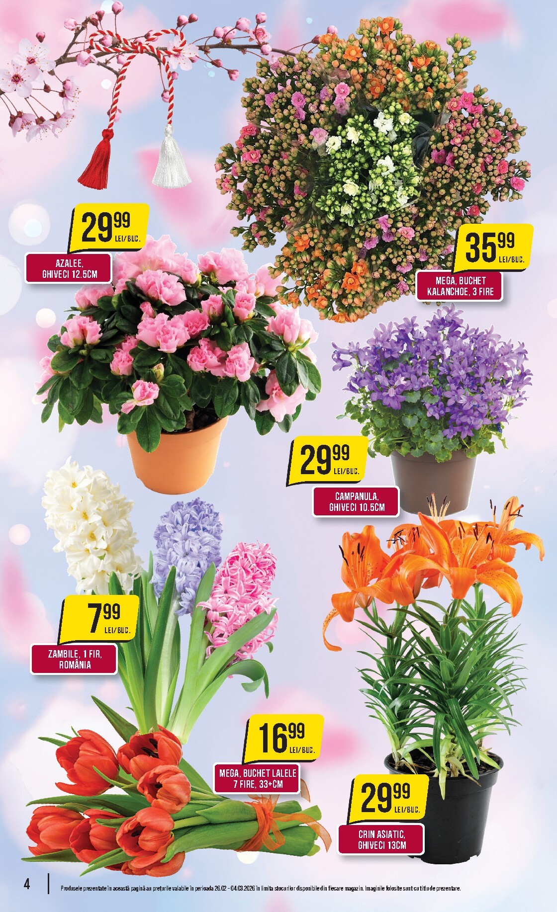 mega-image - Catalog Mega Image online – oferte valabile din 26.02.2026 - page: 4