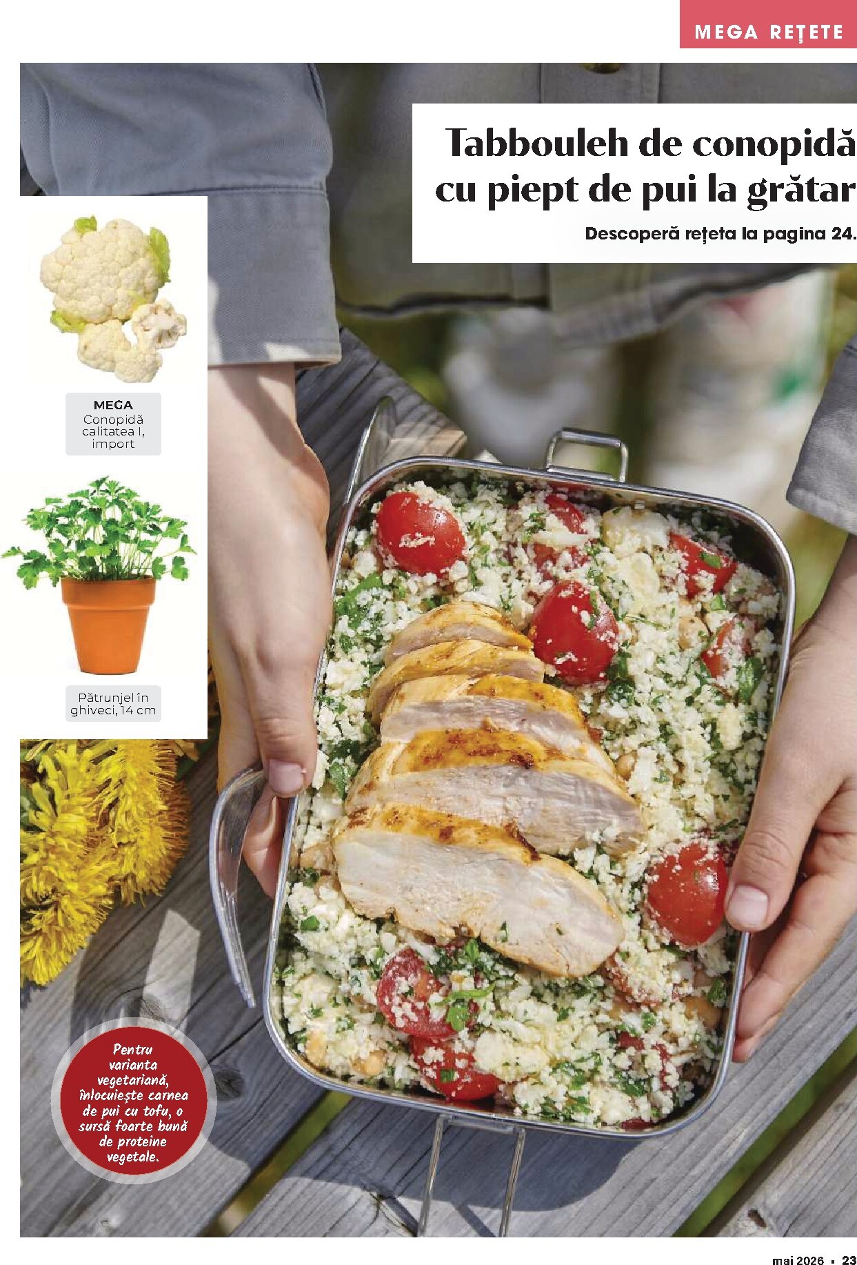 mega-image - Mega Image - Grill pliante pentru săptămâna viitoare de la vineri 01.05.2026 până la duminică 31.05.2026 - page: 23