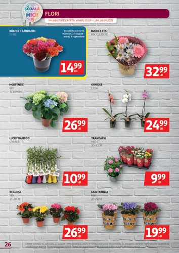 auchan - Catalog Auchan online – oferte valabile din 27.08. - page: 26