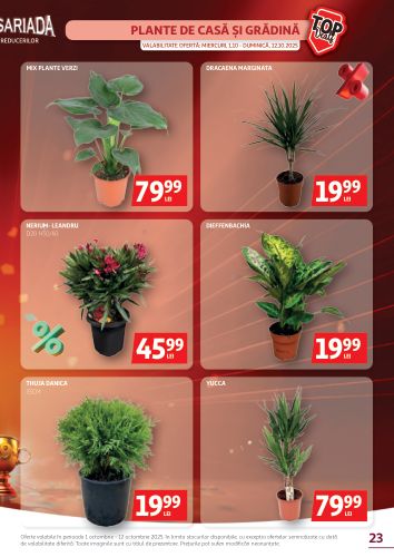 auchan - Catalog Auchan online – oferte valabile din 01.10. - page: 23