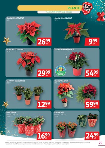 auchan - Catalog Auchan online – oferte valabile din 17.12. - page: 25