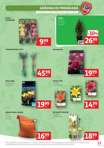 auchan - Catalog Auchan online – oferte valabile din 11.02.2026 - page: 23