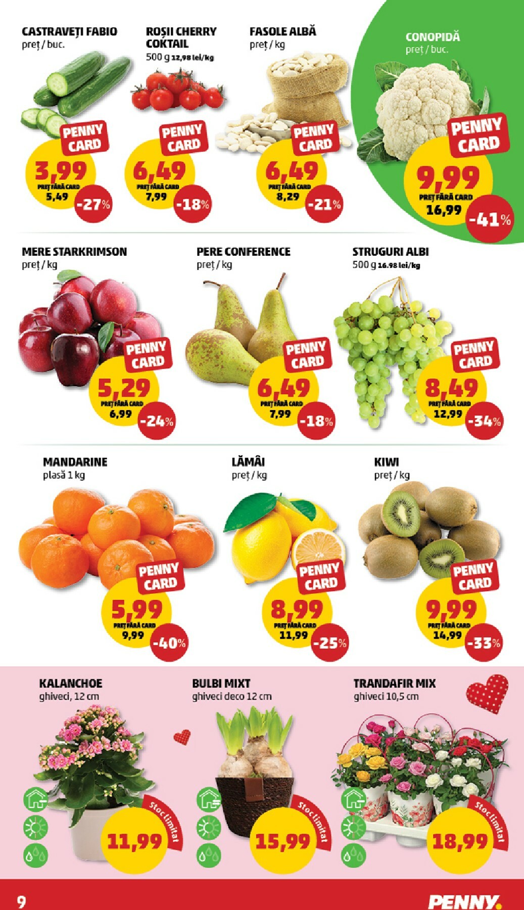 penny - Catalog PENNY online – oferte valabile din 18.02.2026 - page: 9
