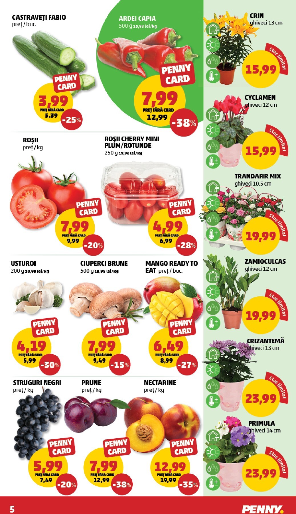 penny - Catalog PENNY online – oferte valabile din 04.03.2026 - page: 5