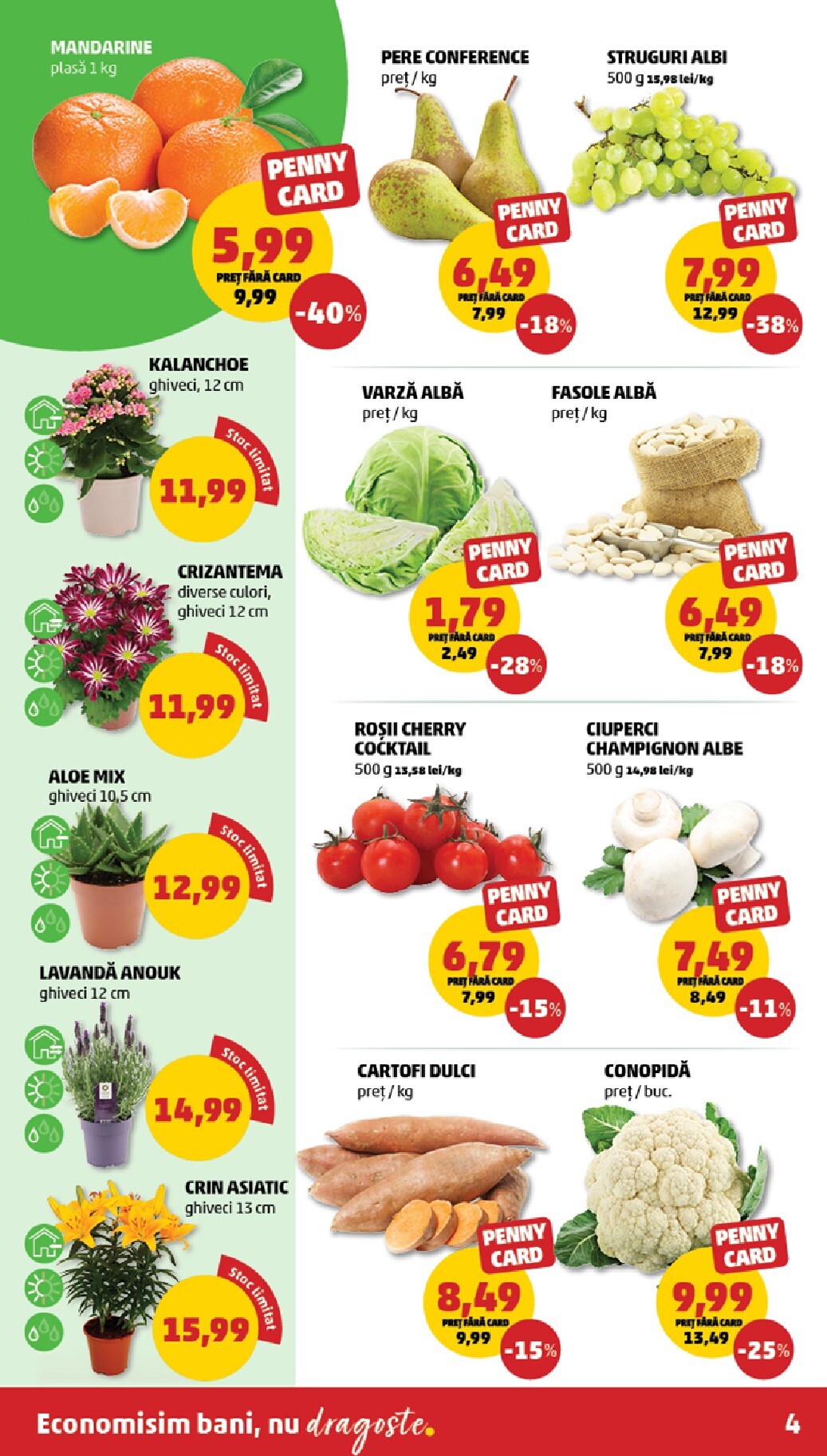 penny - Catalog PENNY online – oferte valabile din 11.03.2026 - page: 4