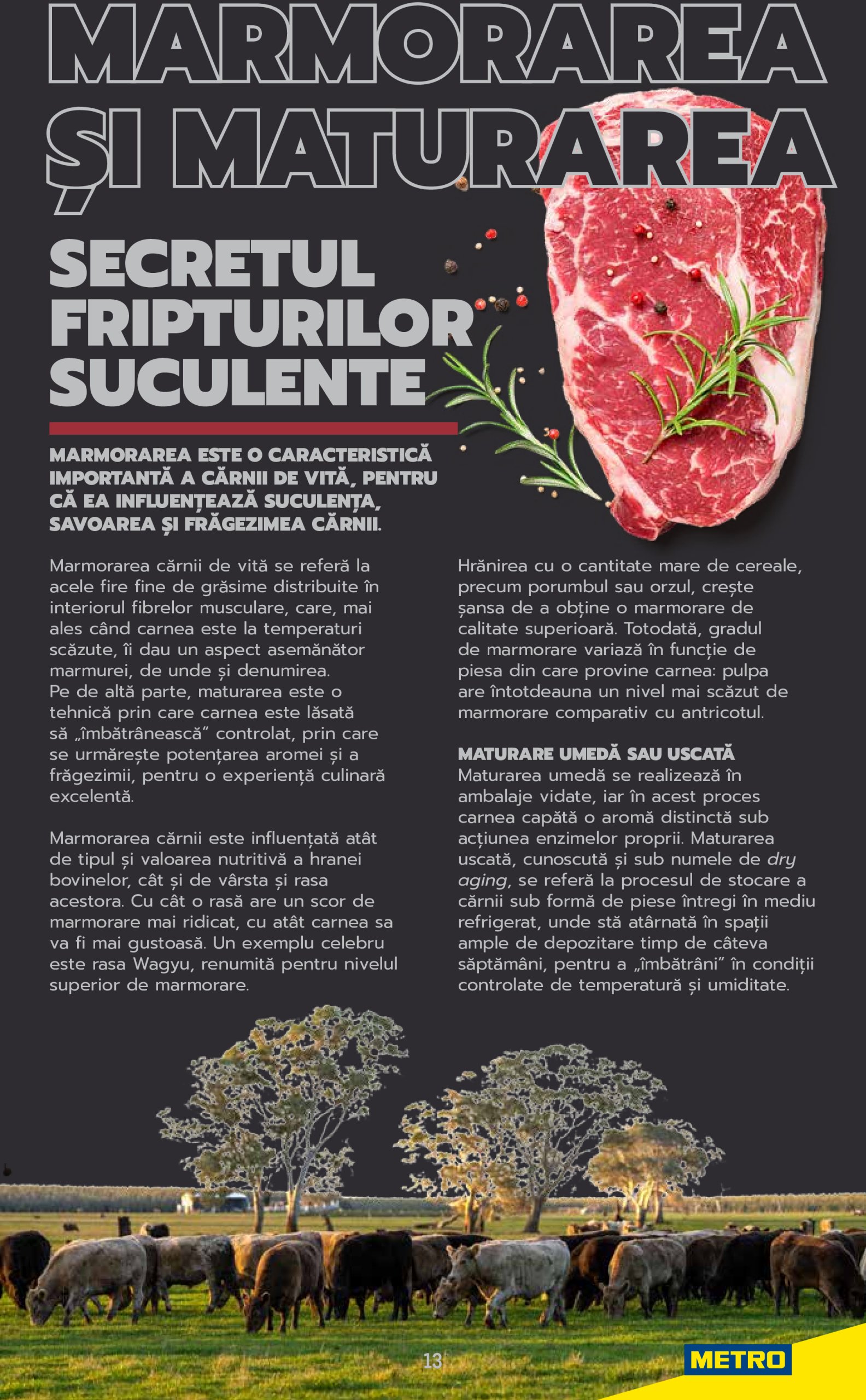 metro - Catalog Metro - Carne pentru Profesioniști valabil din 03.06. până pe 31.12. - page: 13 metro - Catalog Metro - Carne pentru Profesioniști valabil din 03.06. până pe 31.12. - page: 13