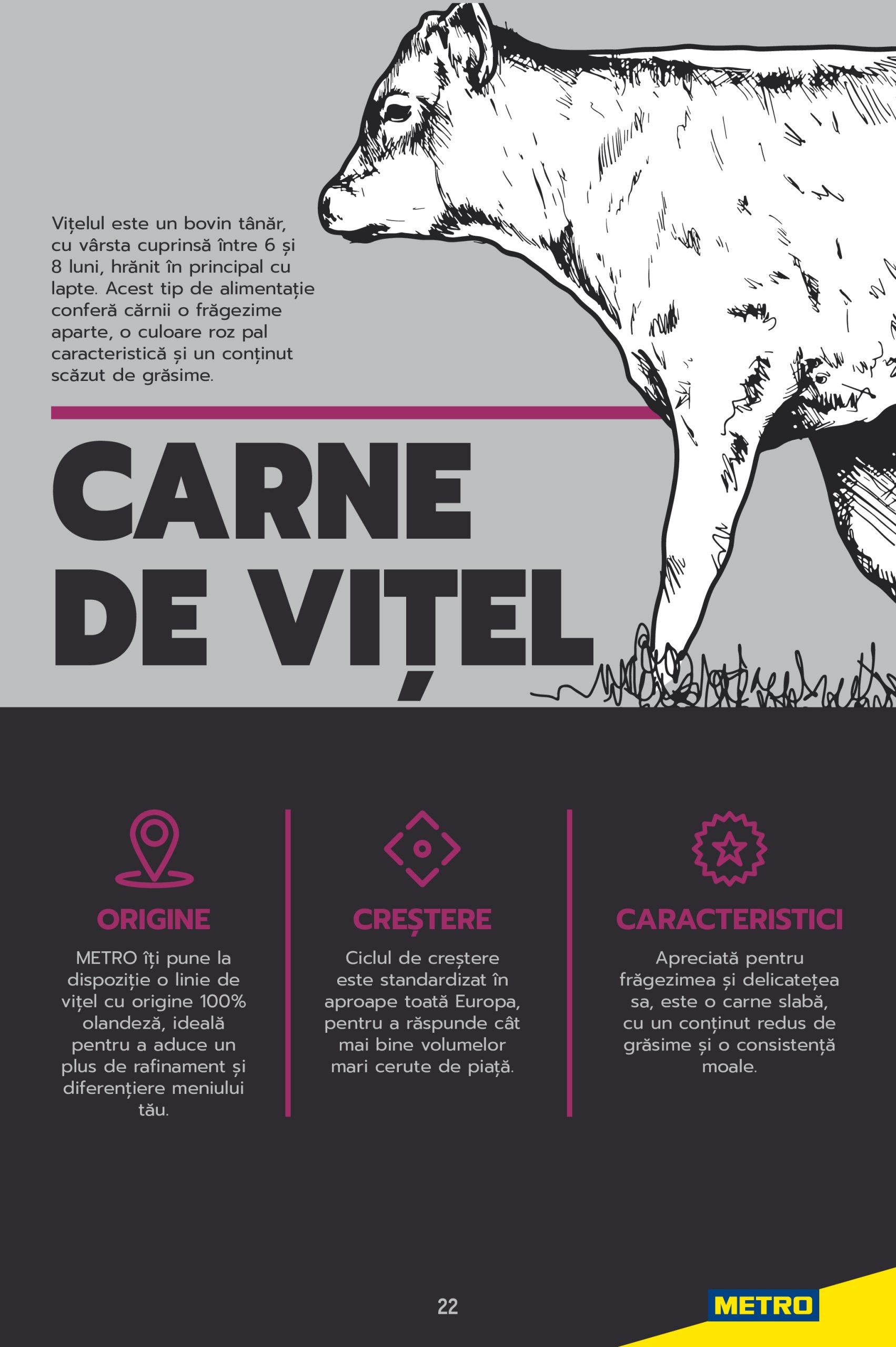 metro - Catalog Metro - Carne pentru Profesioniști valabil din 03.06. până pe 31.12. - page: 22 metro - Catalog Metro - Carne pentru Profesioniști valabil din 03.06. până pe 31.12. - page: 22