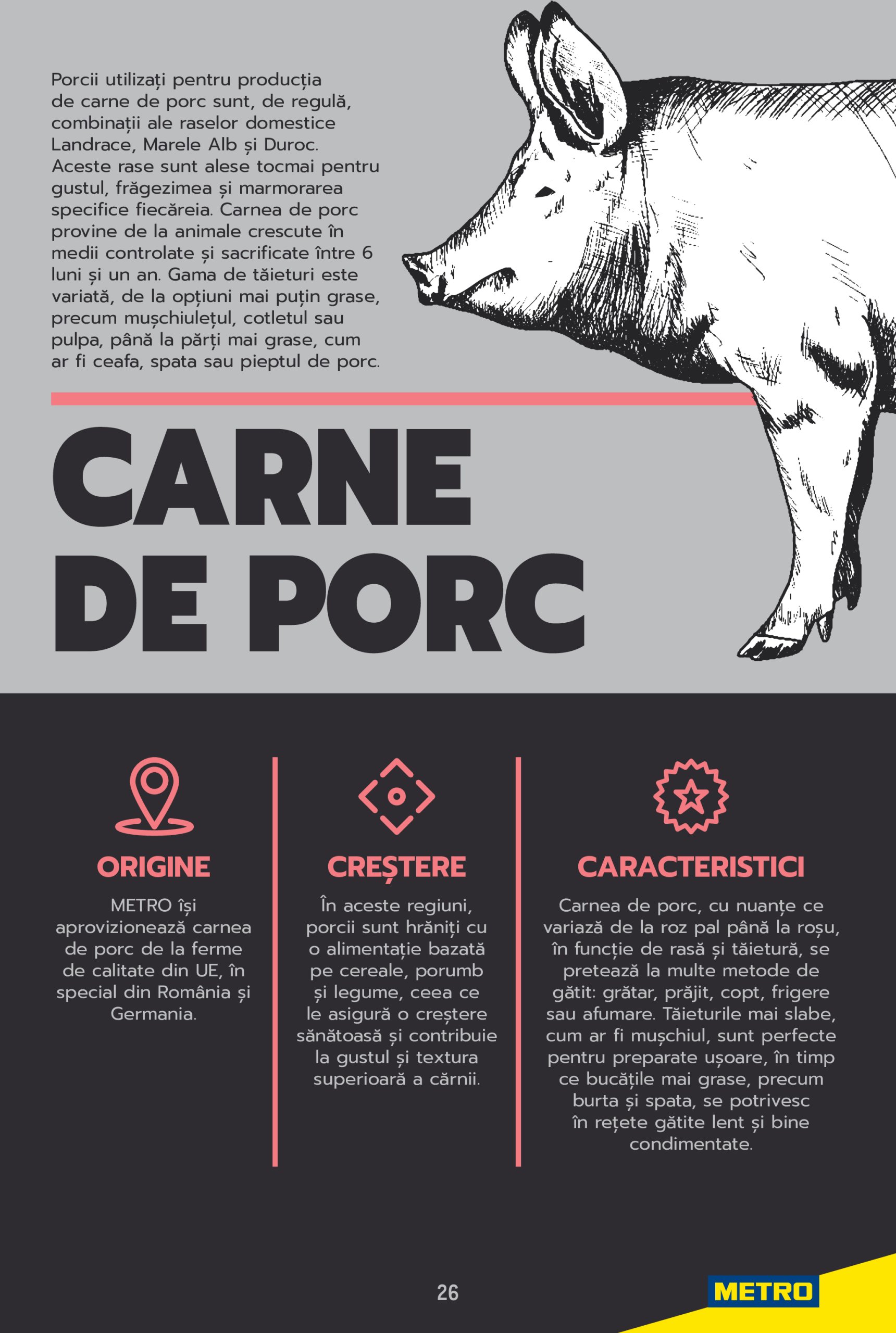 metro - Catalog Metro - Carne pentru Profesioniști valabil din 03.06. până pe 31.12. - page: 26 metro - Catalog Metro - Carne pentru Profesioniști valabil din 03.06. până pe 31.12. - page: 26