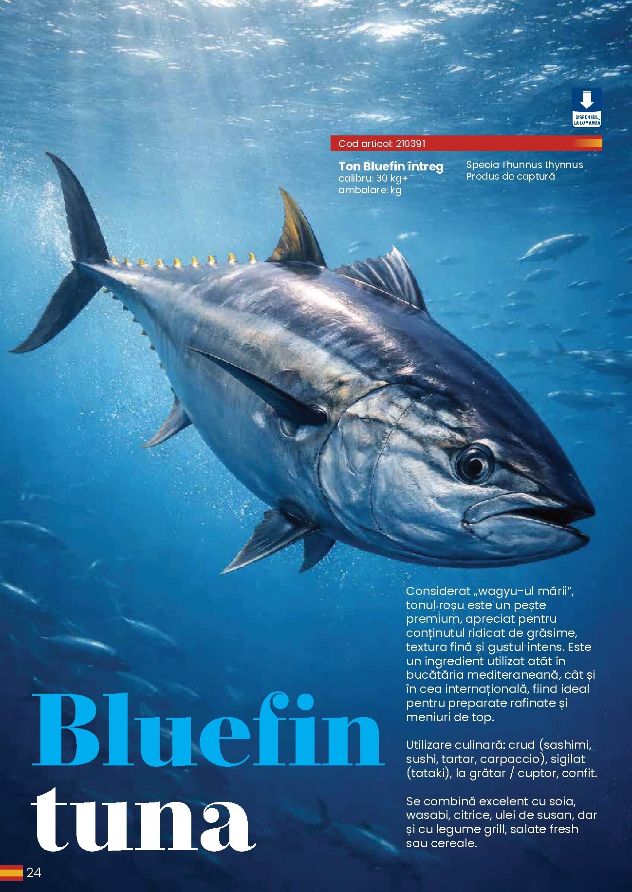 metro - Catalog Metro - Eat Spain, drink Spain online – oferte valabile din 30.03.2026 - page: 24