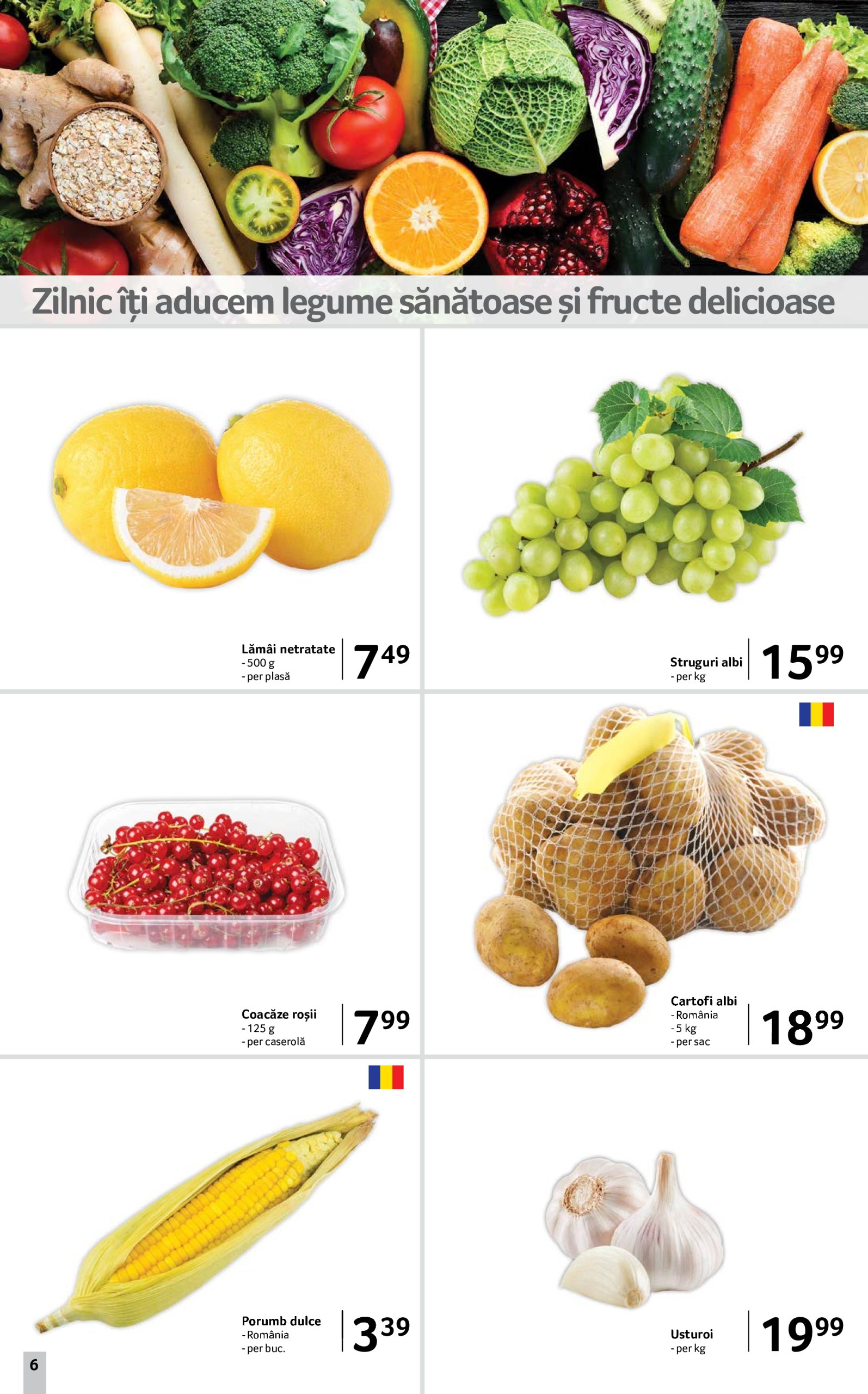 selgros - Catalog Selgros valabil din 27.06. până pe 10.07. - page: 6 selgros - Catalog Selgros valabil din 27.06. până pe 10.07. - page: 6