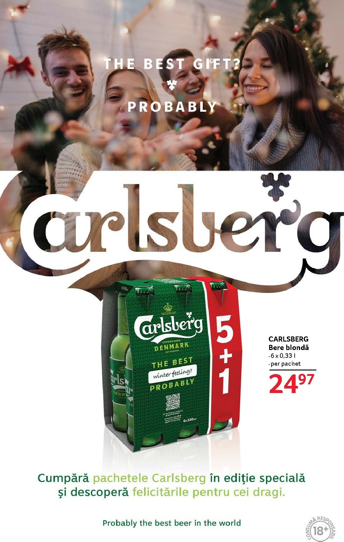 selgros - Catalog Selgros online – oferte valabile din 12.12. - page: 41