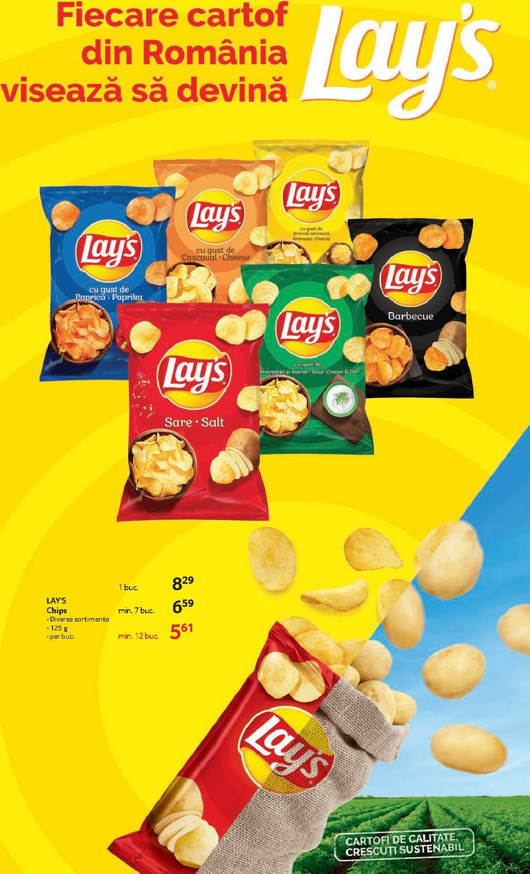 selgros - Catalog Selgros - Food online – oferte valabile din 23.01. - page: 13