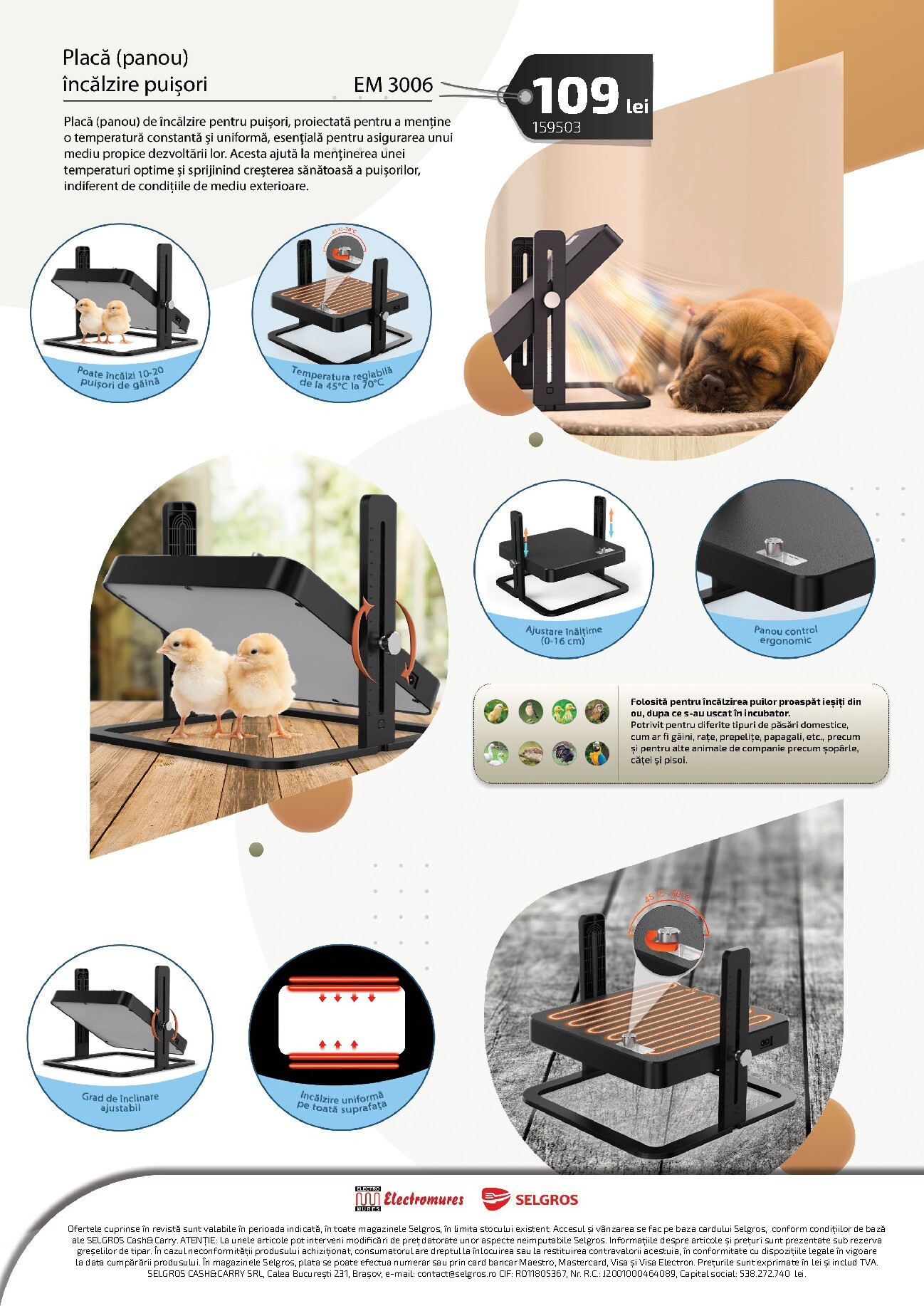 selgros - Catalog Selgros - Catalog incubatoare - Electromures online – oferte valabile din 13.03.2026 - page: 6