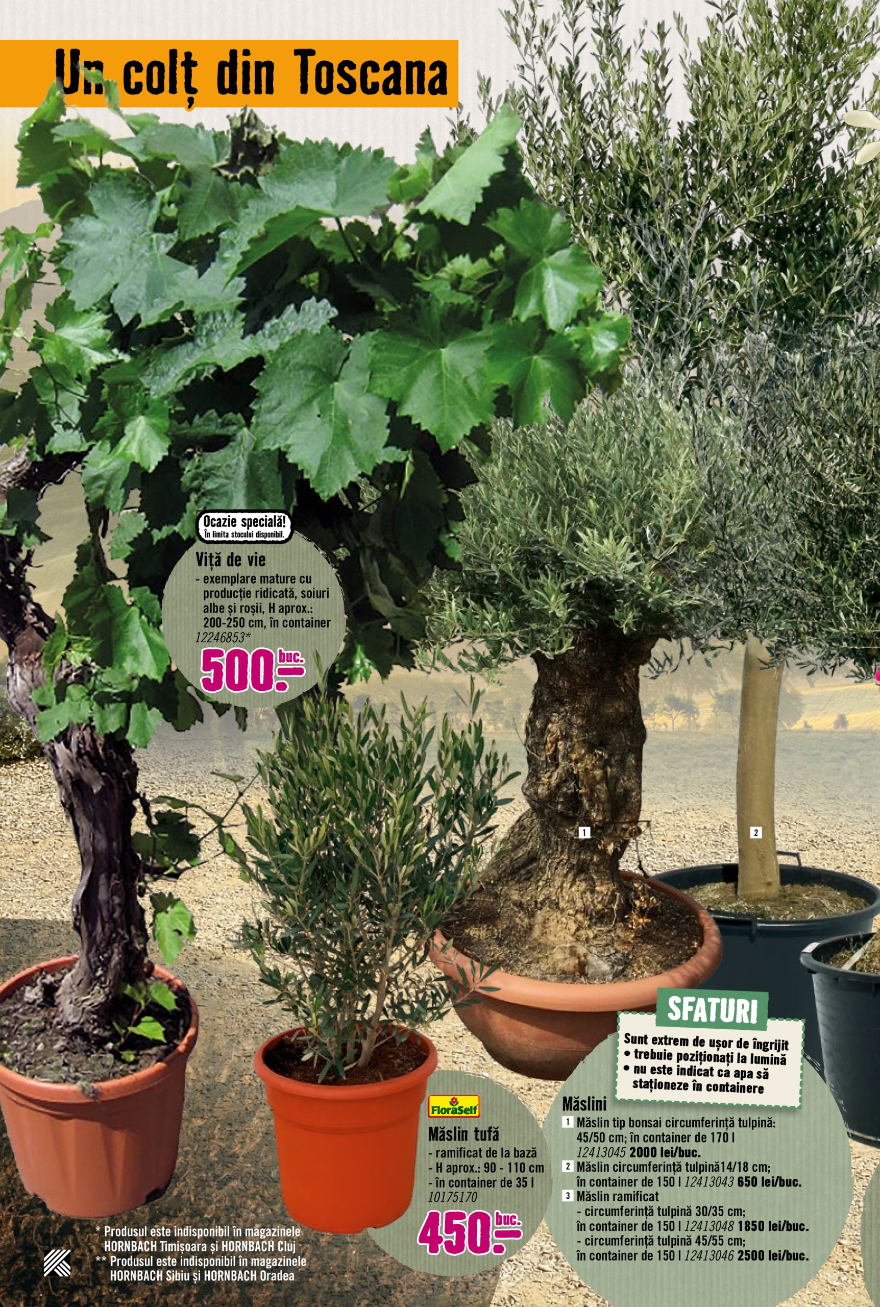 hornbach - Catalog Hornbach valabil din 17.03. - 25.04. - page: 22 hornbach - Catalog Hornbach valabil din 17.03. - 25.04. - page: 22