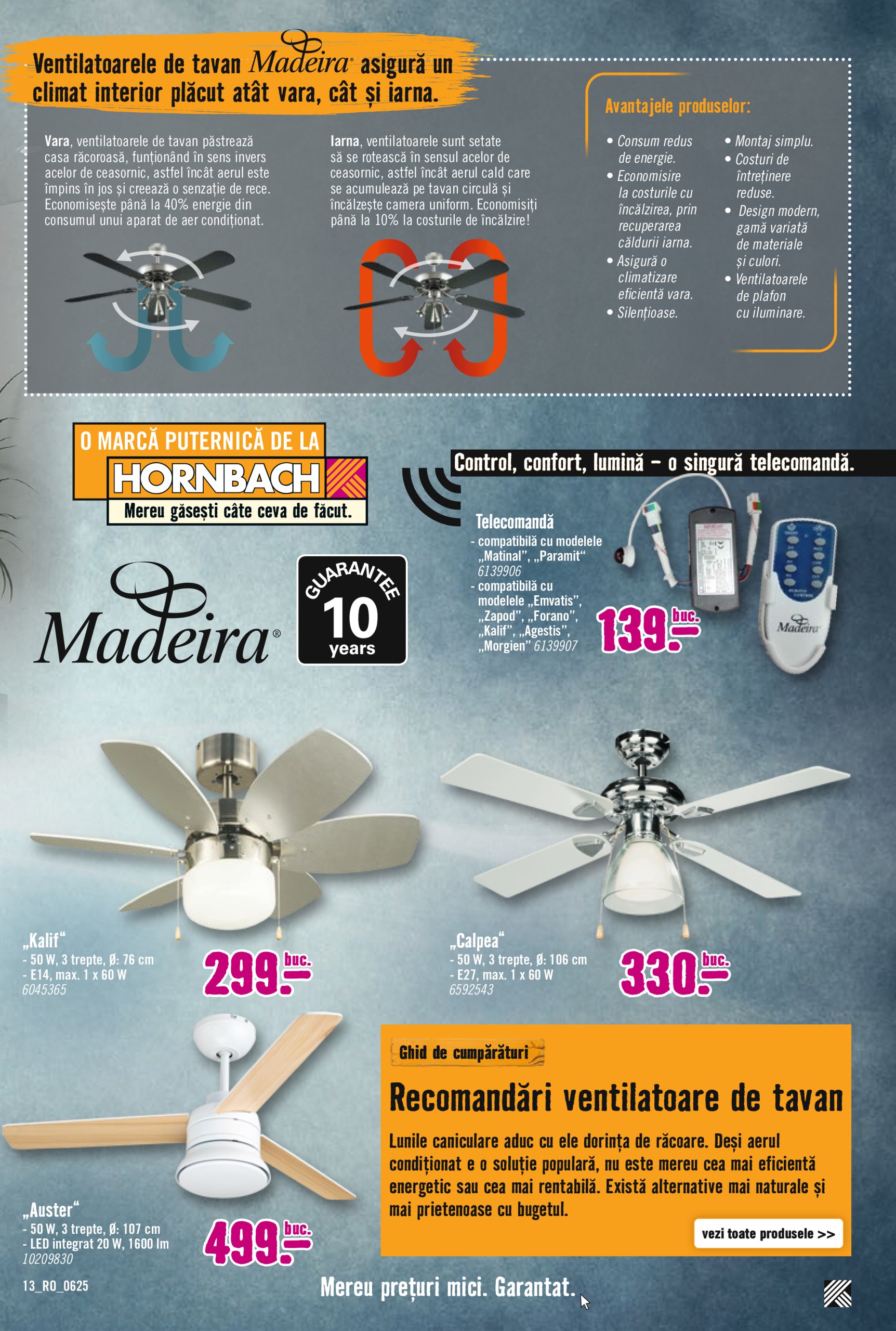 hornbach - Catalog Hornbach - Aerotermie valabil din 20.06. până pe 19.07. - page: 13